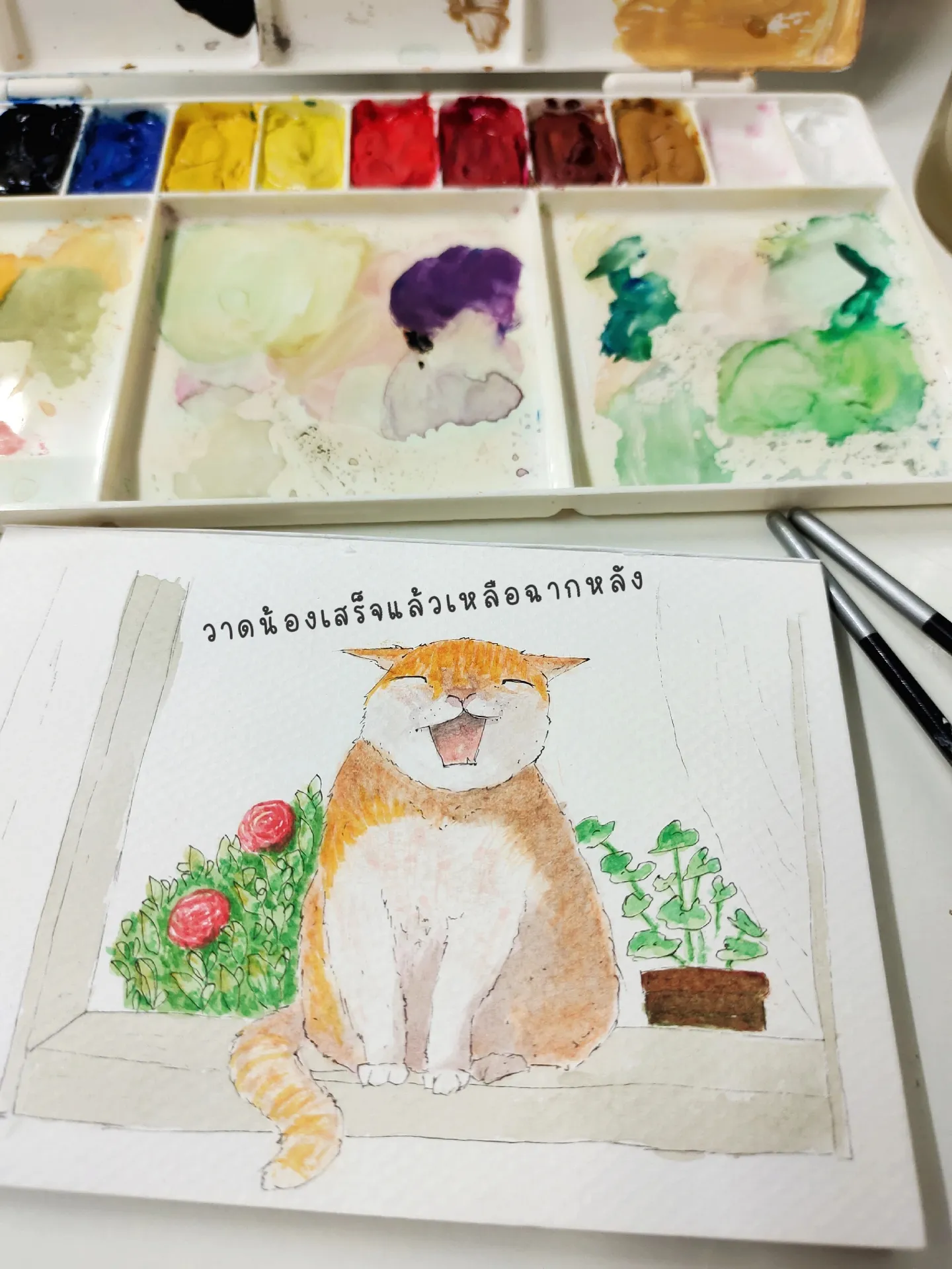 แชร์ไอเดีย วาดรูป : น้องแมวริมหน้าต่างในยามเช้า | แกลเลอรีที่โพสต์โดย ...