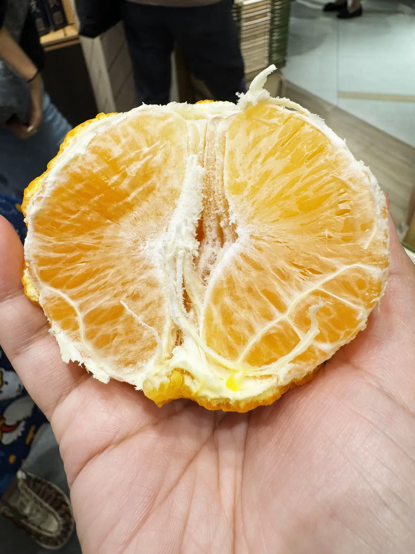 special-cny-orange-gallery-posted-by-veron-lemon8