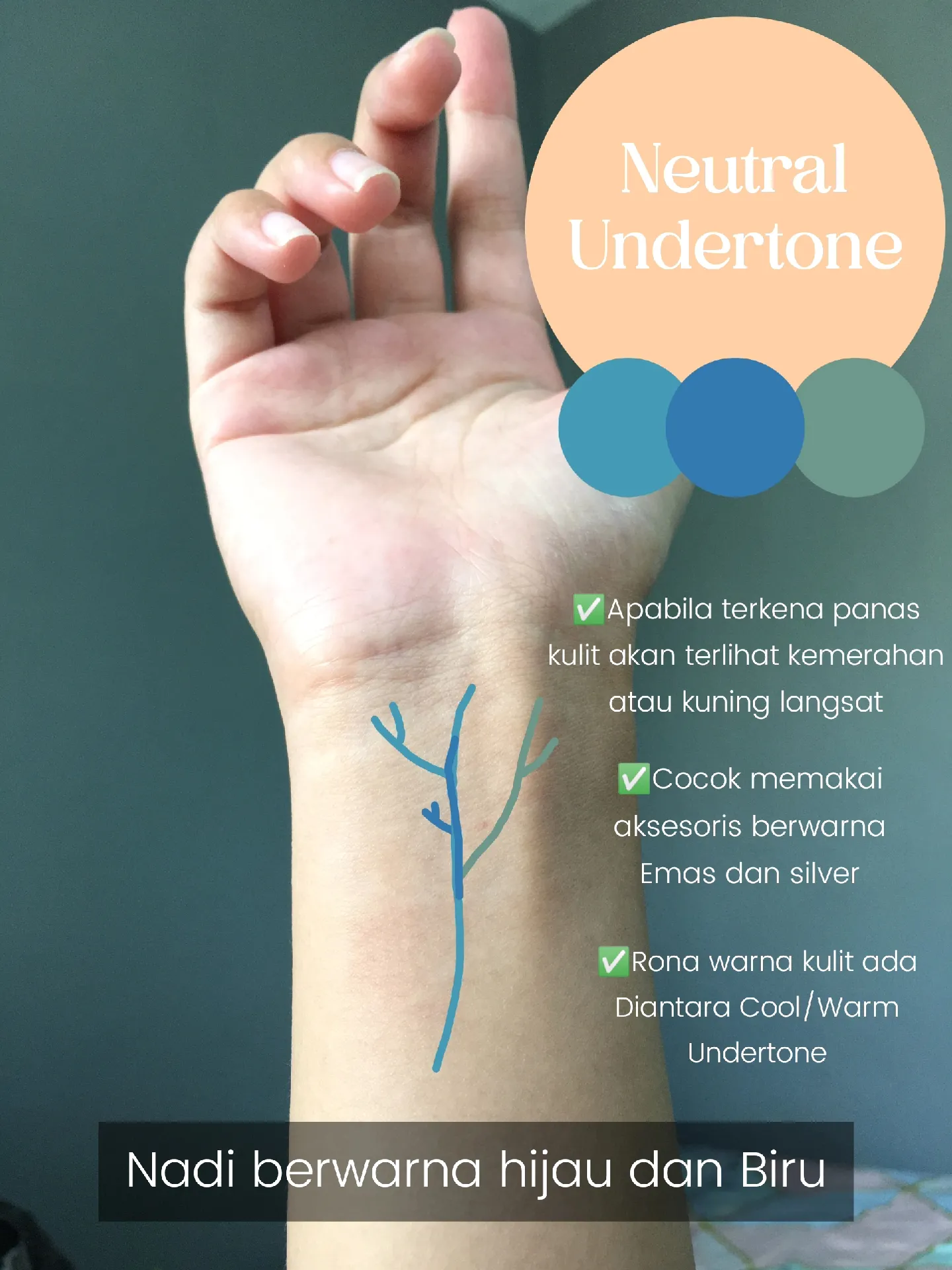 Tips Beginner Cara Mengetahui Undertone Kamu! | Galeri Diposting Oleh ...