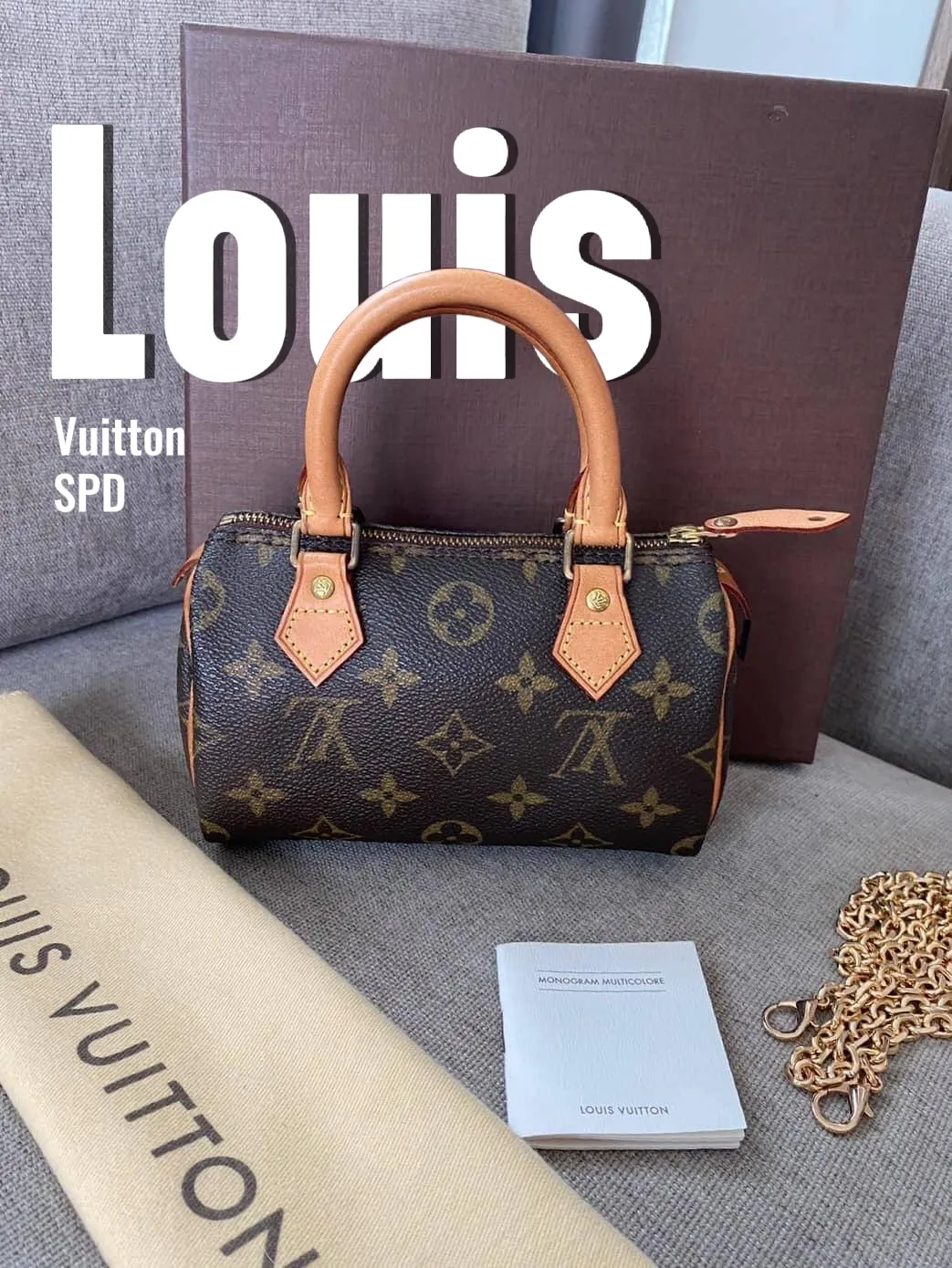 LOUIS VUITTON Louise MM - More Than You Can Imagine