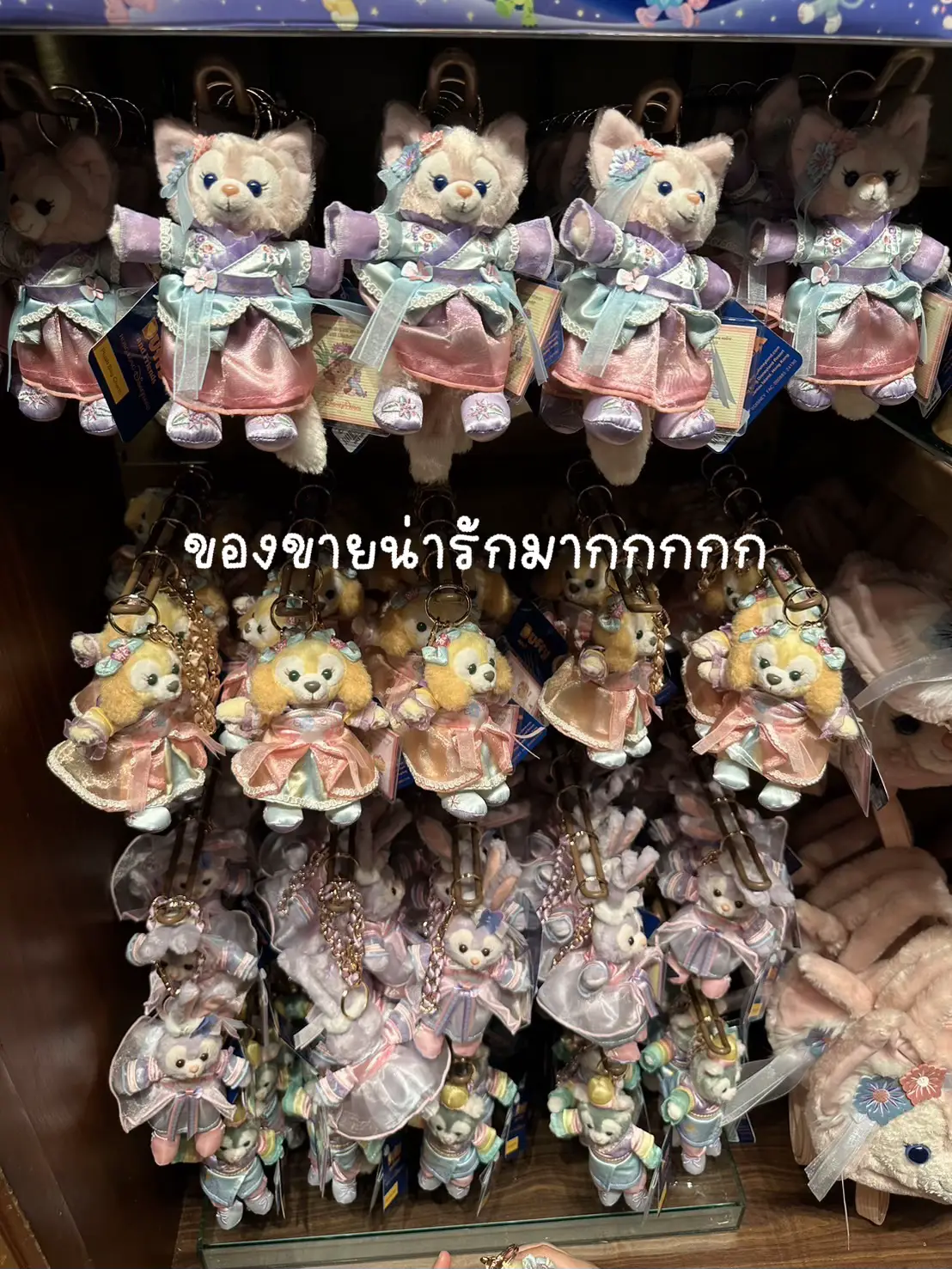 イーヨー ぬいぐるみ 香港ディズニーランド ディズニーパーク 摺り