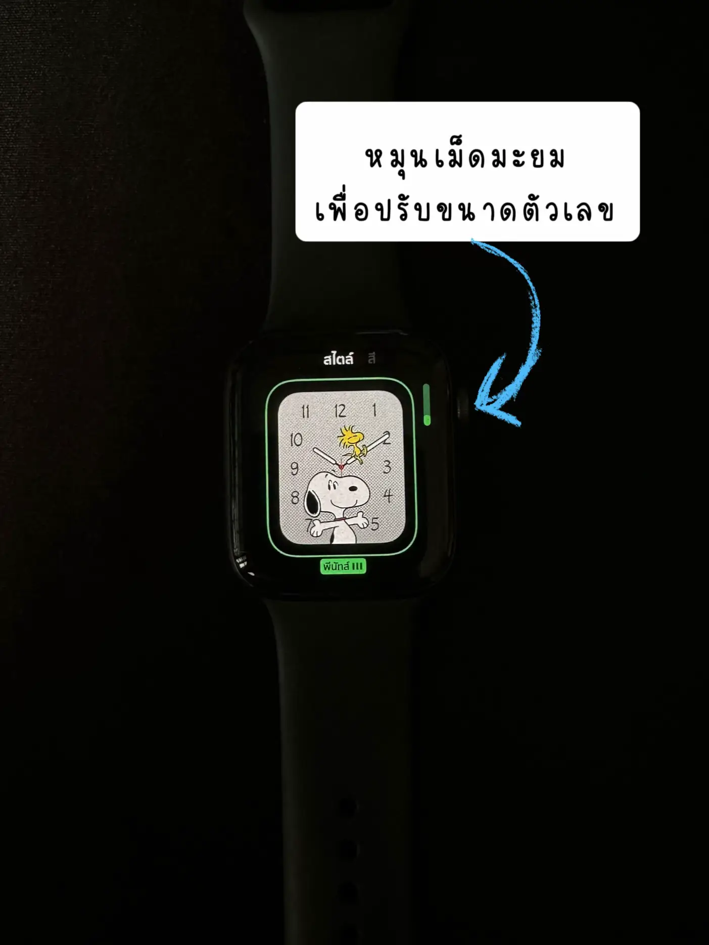 Snoopy themed Apple watch screen setting tutorial Gallery