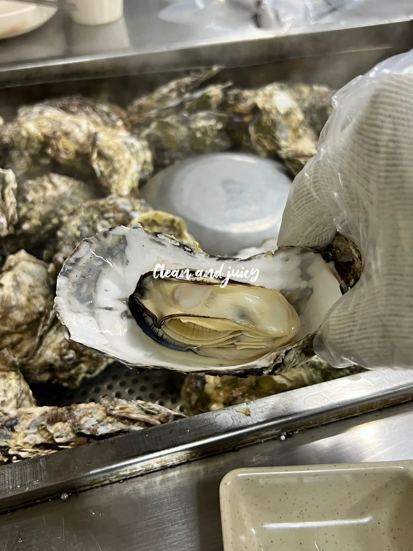 Steamed oysters korea Lemon8 Search