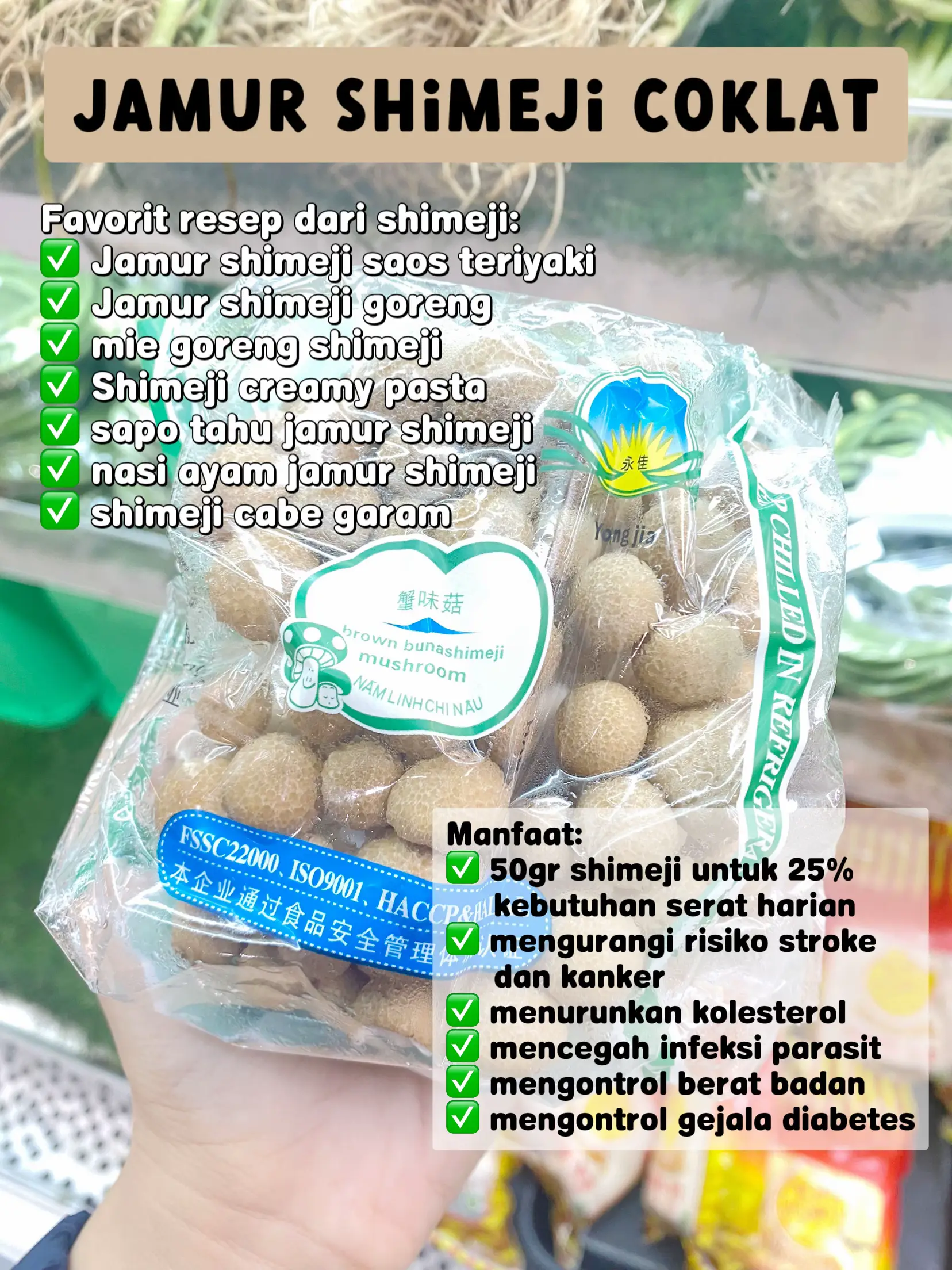 20 ide Resep Jamur Enoki Saus Tiram teratas di 2024