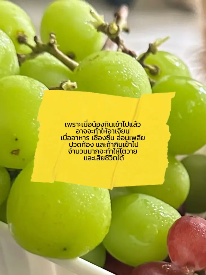 Are green seedless outlet grapes bad for dogs