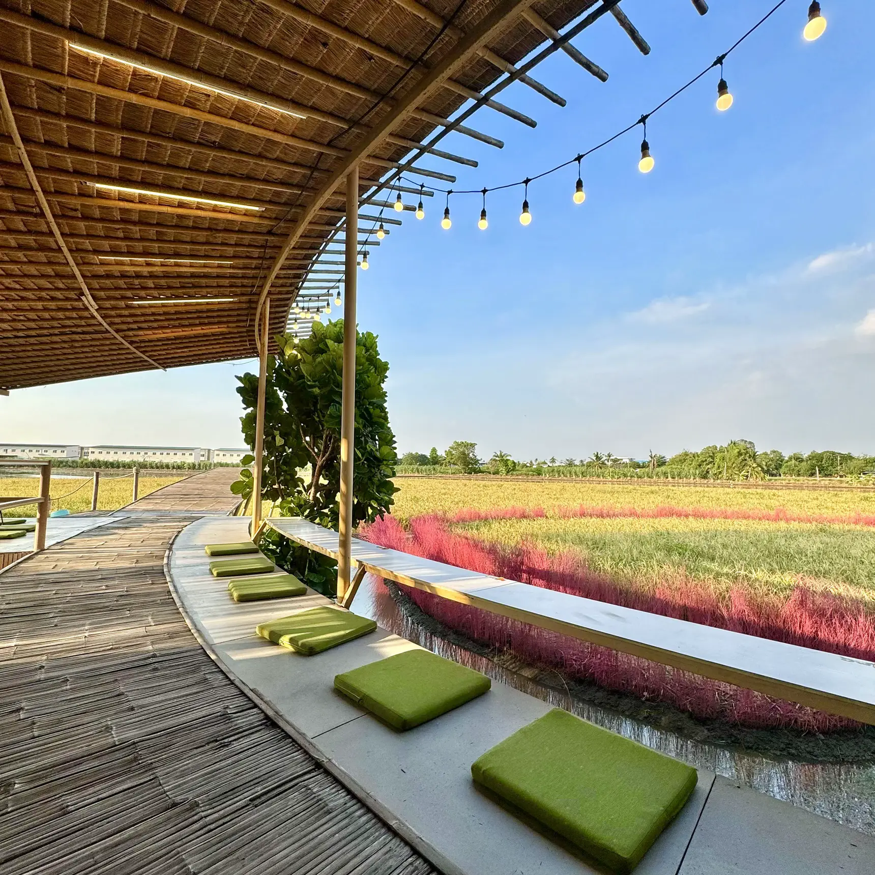 คาเฟ่เปิดใหม่นครปฐม บรรยากาศดีมาก | แกลเลอรีที่โพสต์โดย uptoearthreview ...