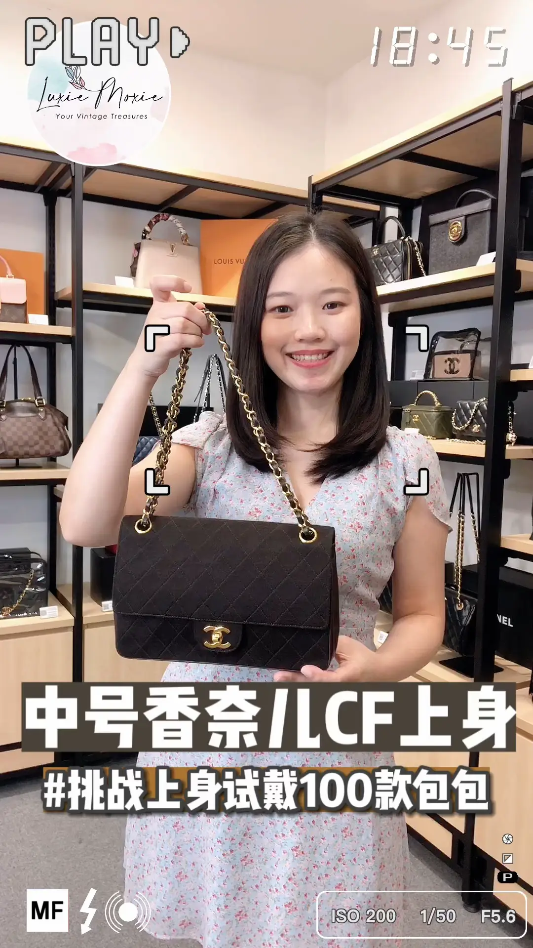 CHANEL Vintage Medium Classic Flap (CF)