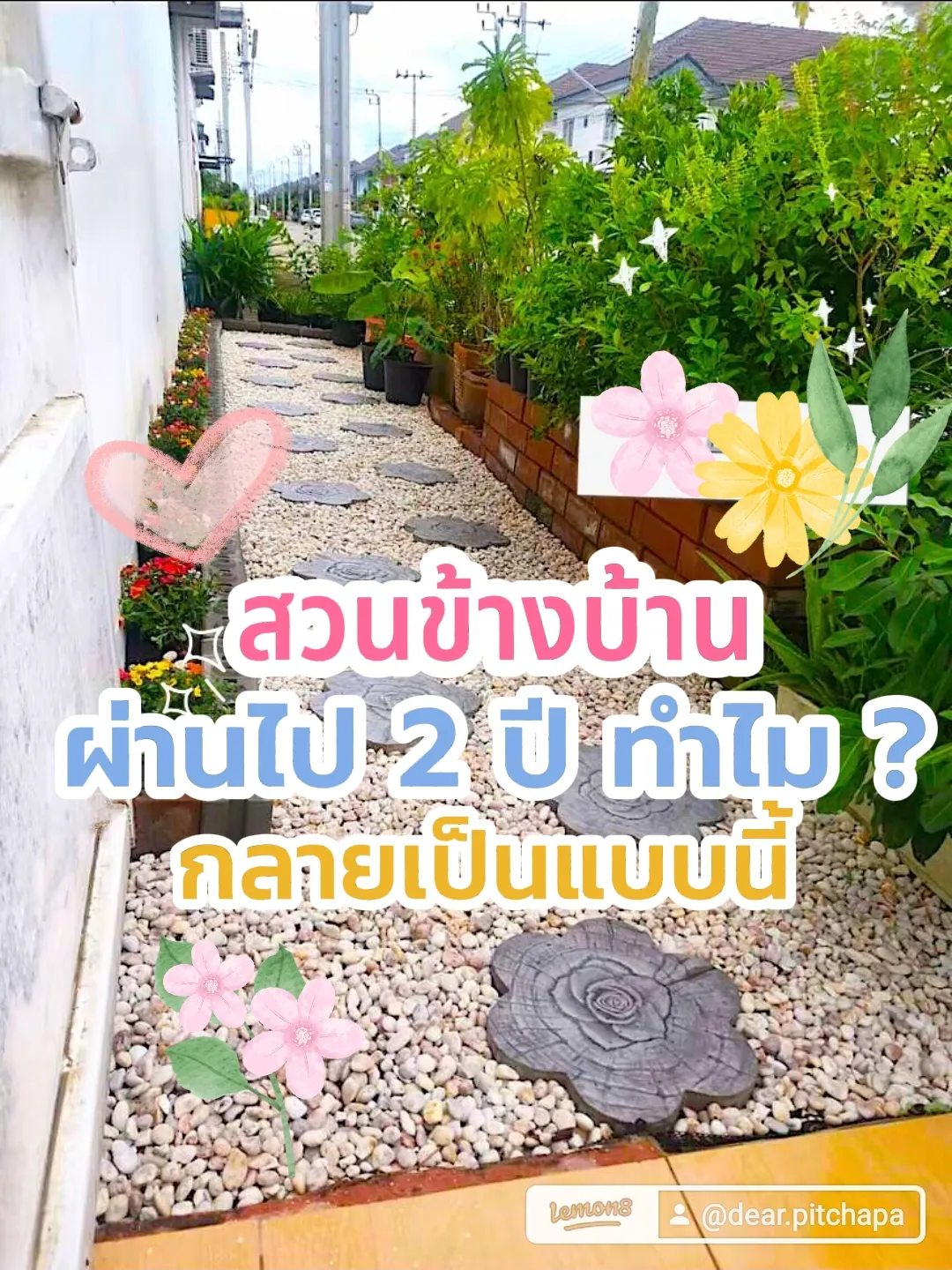 🌳 สวนข้างบ้าน ผ่านไป 2 ปี ปัจจุบันกลายเป็นแบบนี้ | แกลเลอรีที่โพสต์โดย ...