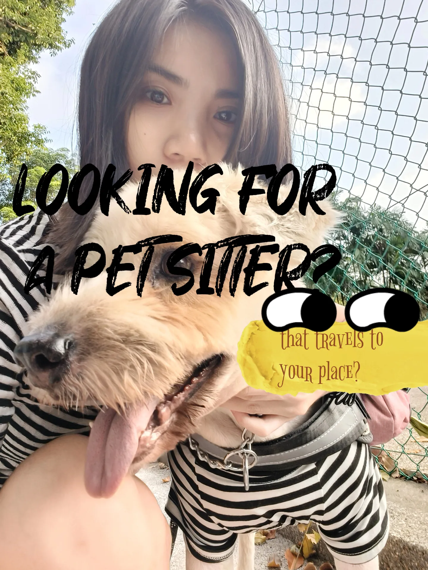 LOOKING FOR A PET SITTER FOR YOUR FURBB? แกลเลอรีที่โพสต์โดย Shi Min