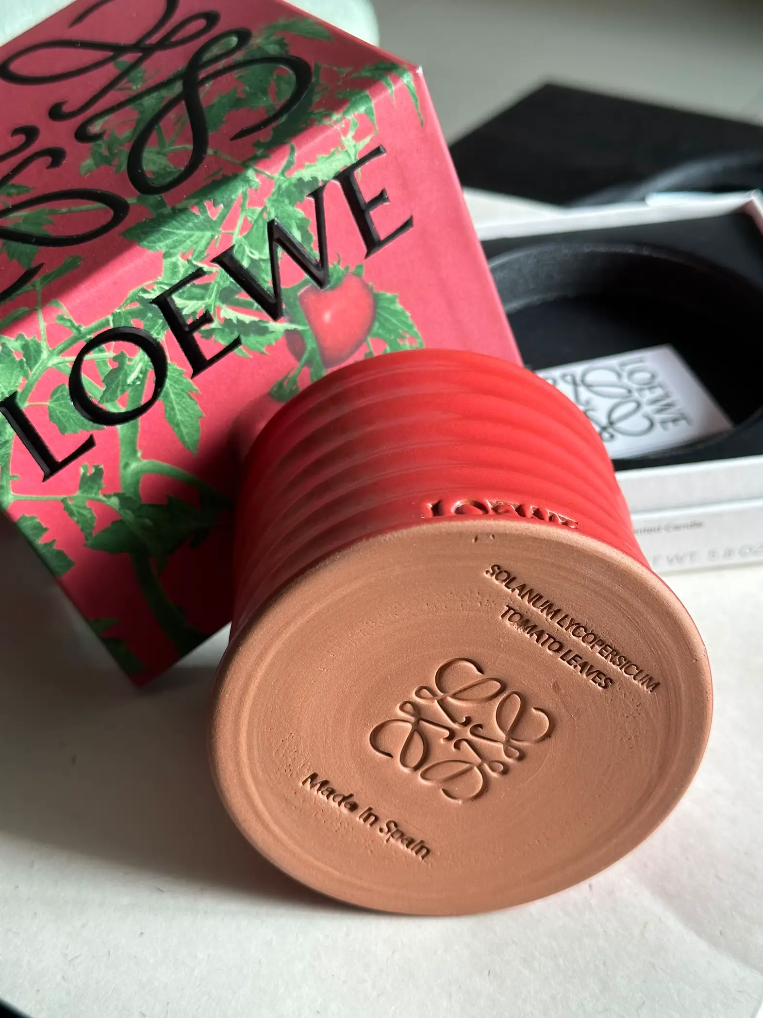 LOEWE CANDLE 🍅🌱 | 𝓐. ♡が投稿したフォトブック | Lemon8