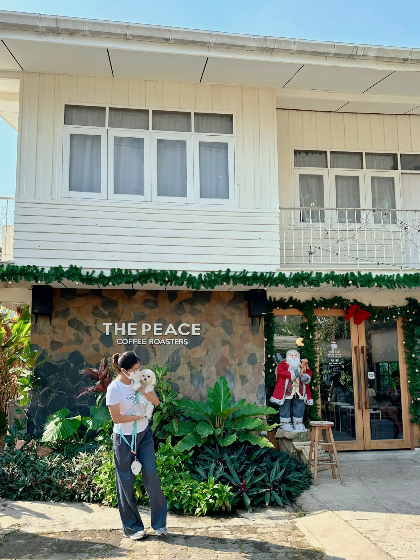 คาเฟ่กาแฟมะพร้าว the peace coffee roasters แกลเลอรีที่โพสต์โดย polar