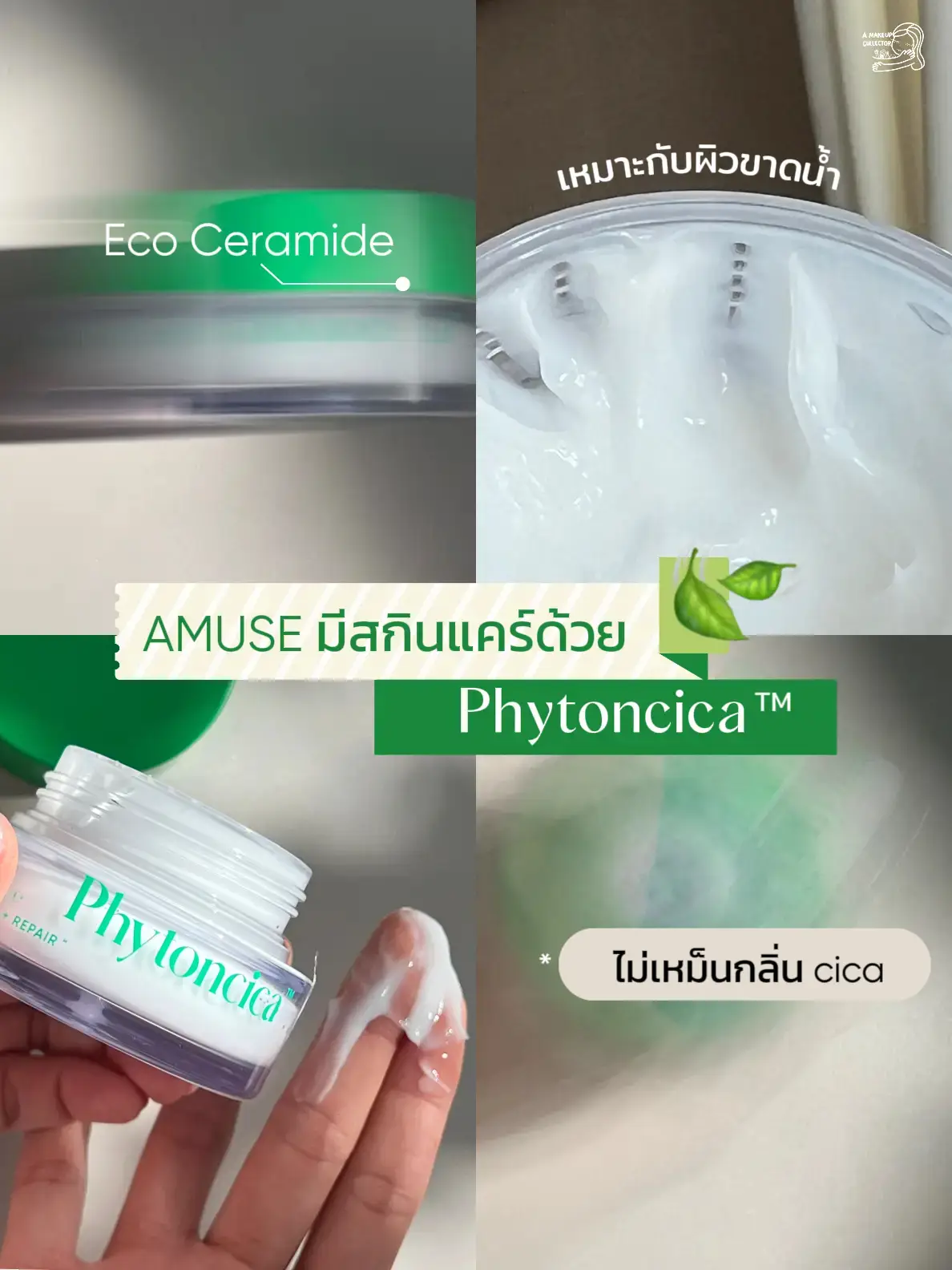 AMUSE has a Skin Care with Phytoncica