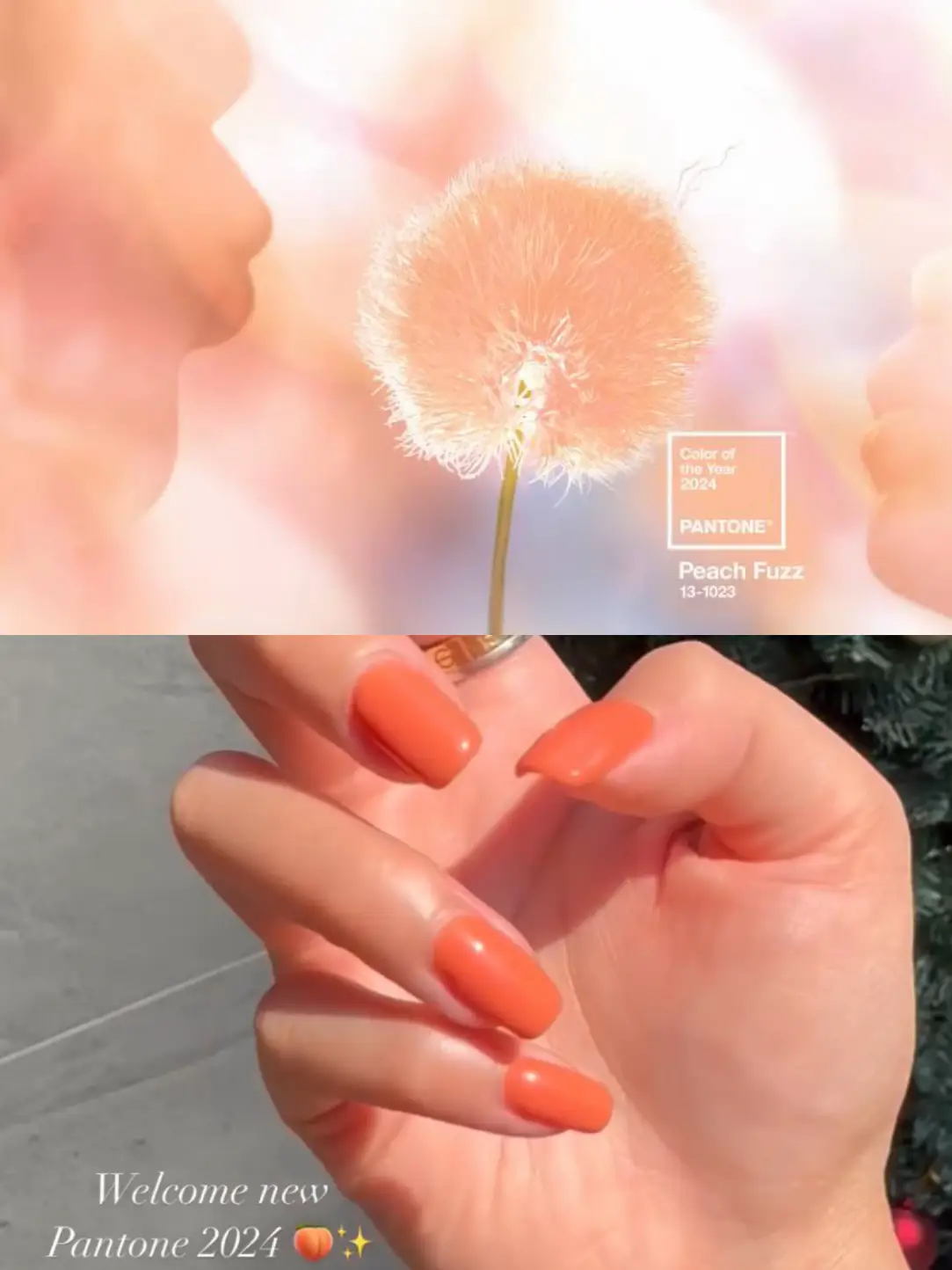 ปีใหม่เล็บใหม่! 💅🏻 New Year New Pantone 2024 🍑 แกลเลอรีที่โพสต์โดย 🧜🏻