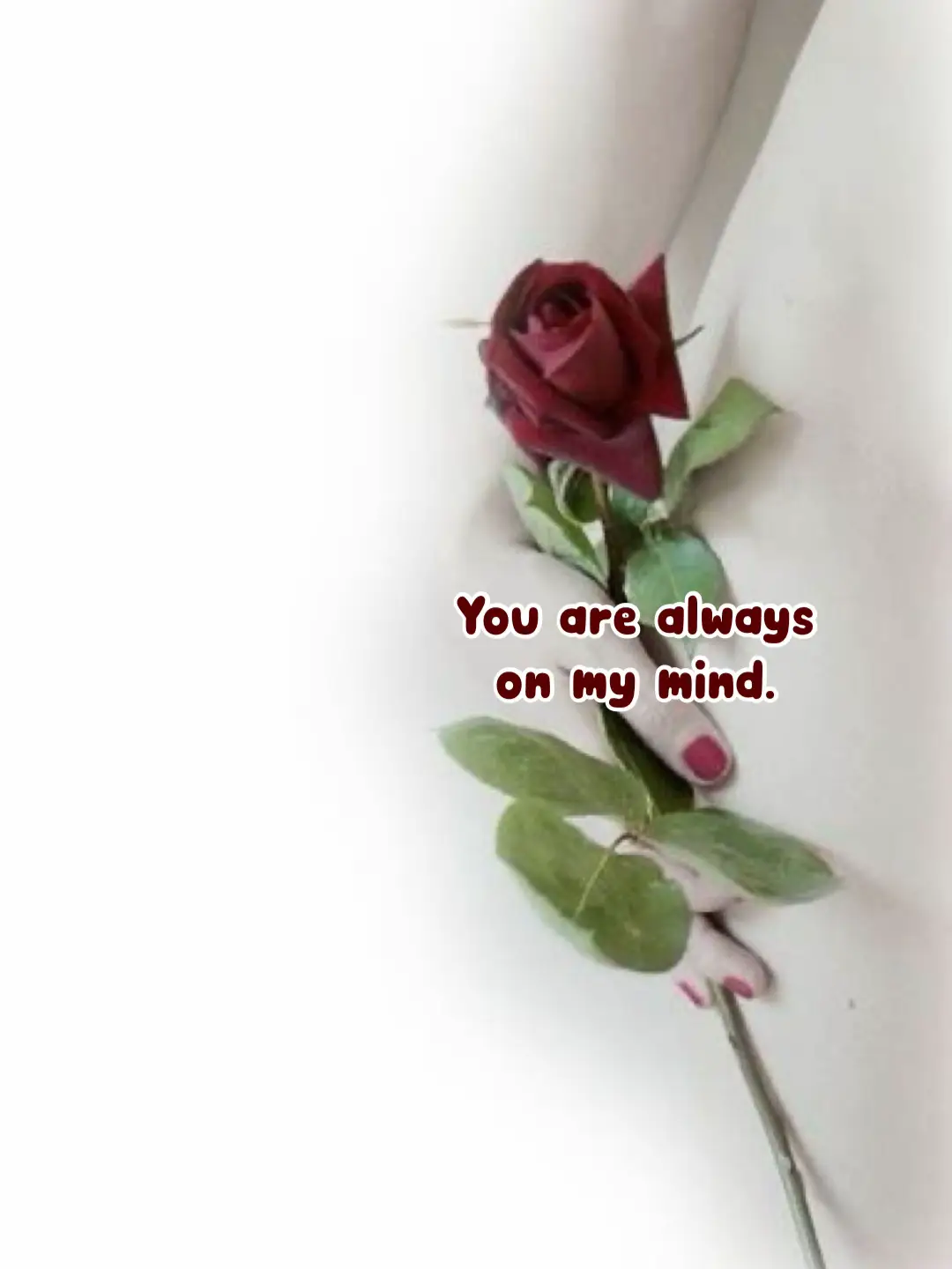 You Are Always On My Mind übersetzung You are always on my mind. | แกลเลอรีที่โพสต์โดย กระต่ายในจันทร์ | Lemon8