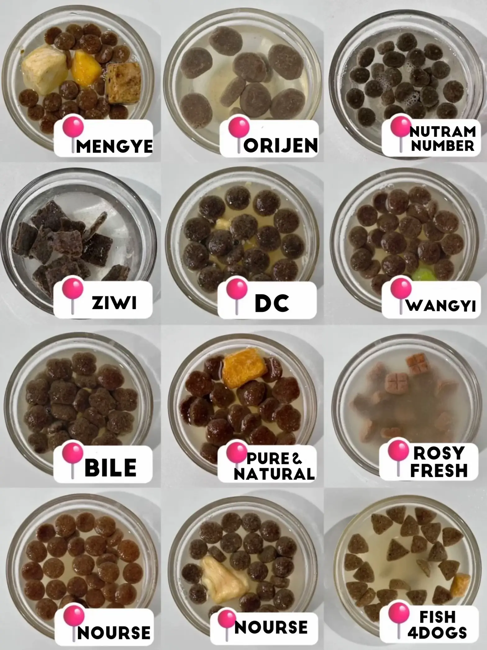 How to identify good kibble by soaking it in water | Gallery posted by  Sophia | Lemon8