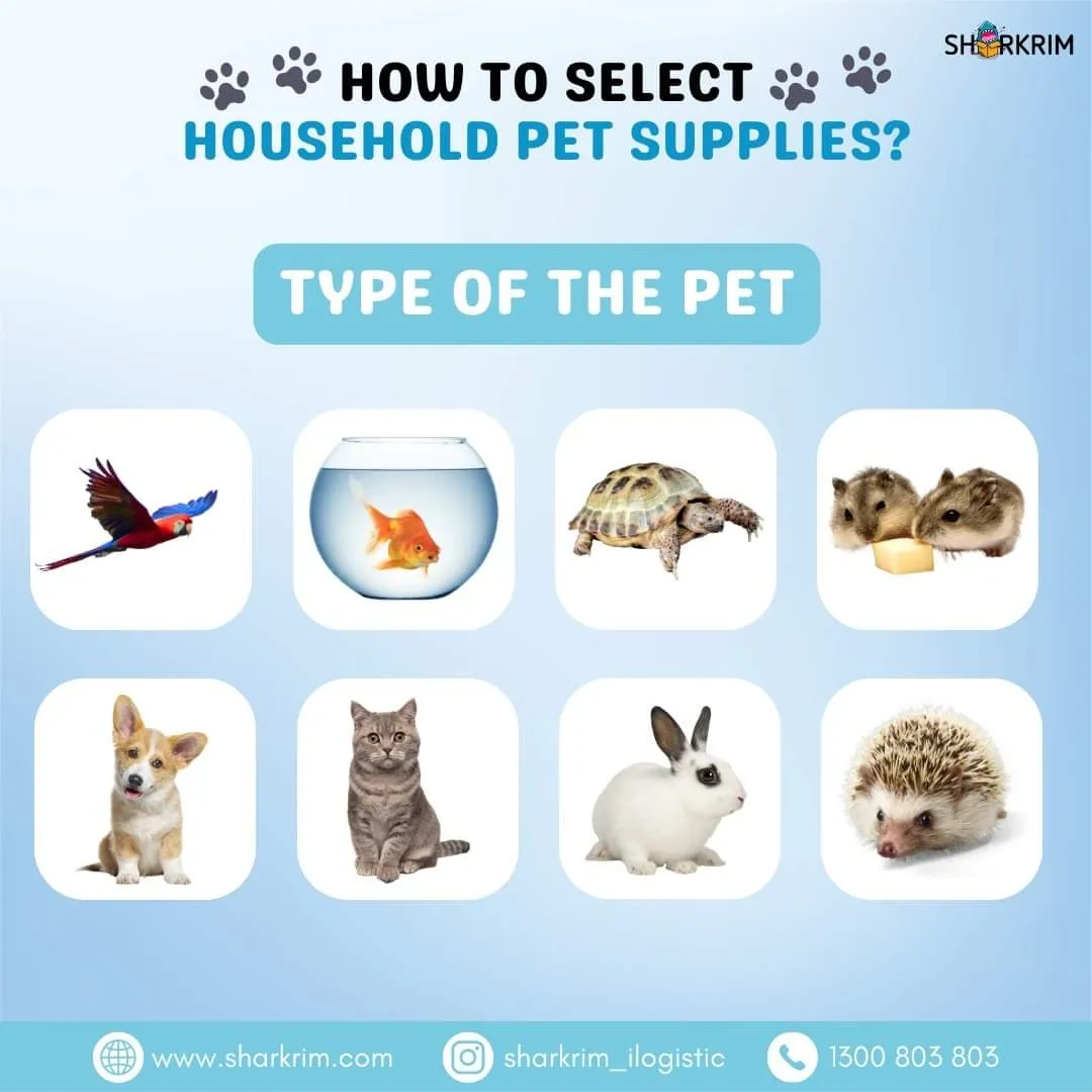 How to select household pet su Galeri disiarkan oleh Sharkrim