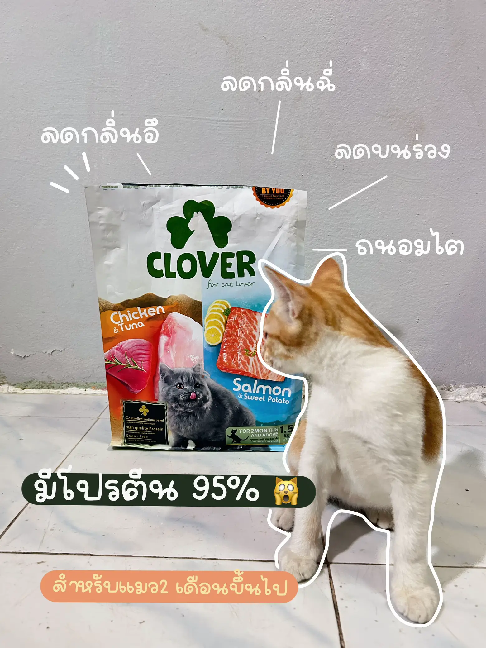 Low sodium cat food that slaves like us need to know Gallery