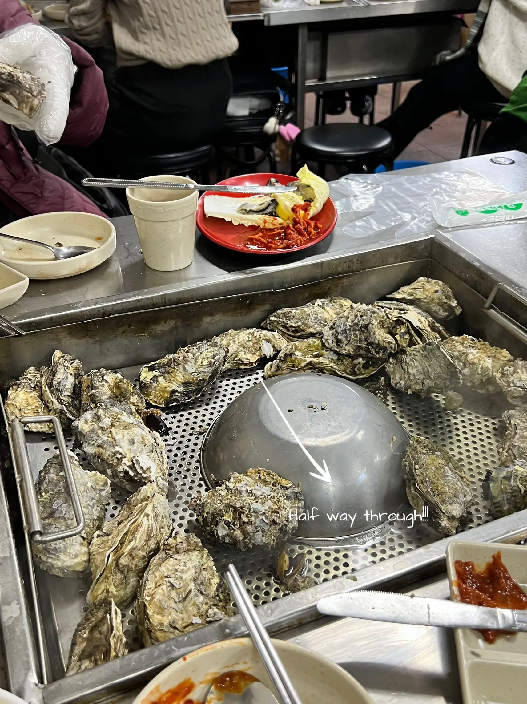 Steamed oysters korea Lemon8 Search