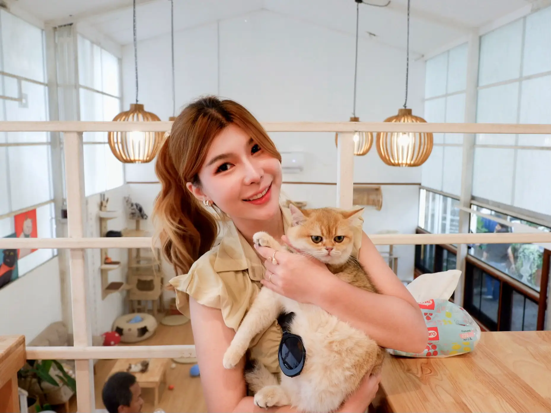 🐾🐈🫧猫カフェに行ってみよう 🩵⛅💕 | 🛼การิวฟู🎀が投稿したフォト  