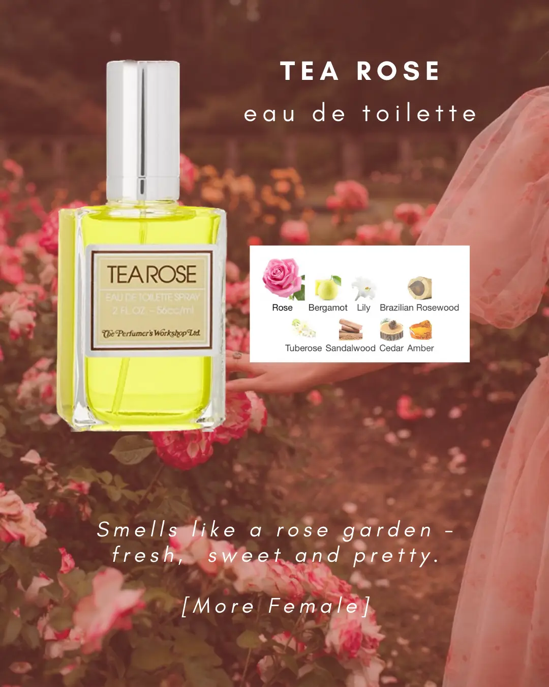 Perfumes <$30 💗✨ Perfumes Pt. 4's images(1)