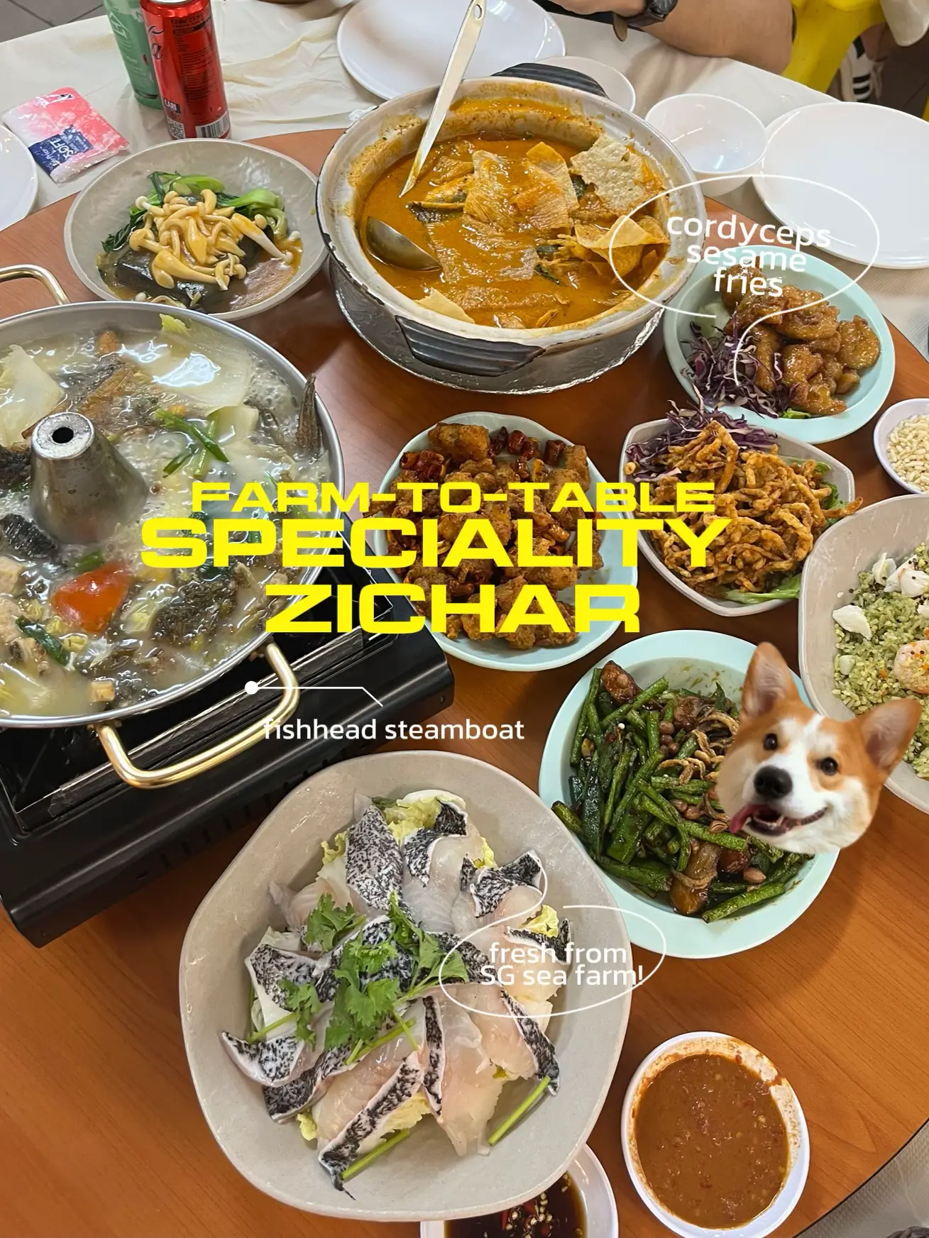 NEW Farm-to-table zichar spot! 🤤's images