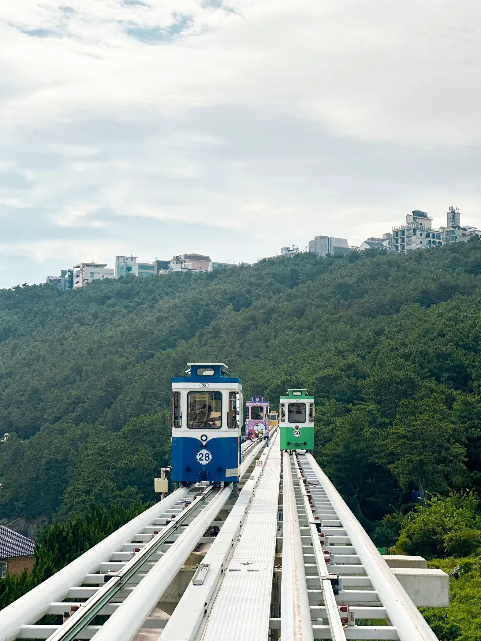 Sky Cabsule🚃รถไฟปุ๊กปิ๊ก Busan คือน่ารักมากก🫶🏻 | แกลเลอรีที่โพสต์โดย 액자 ...