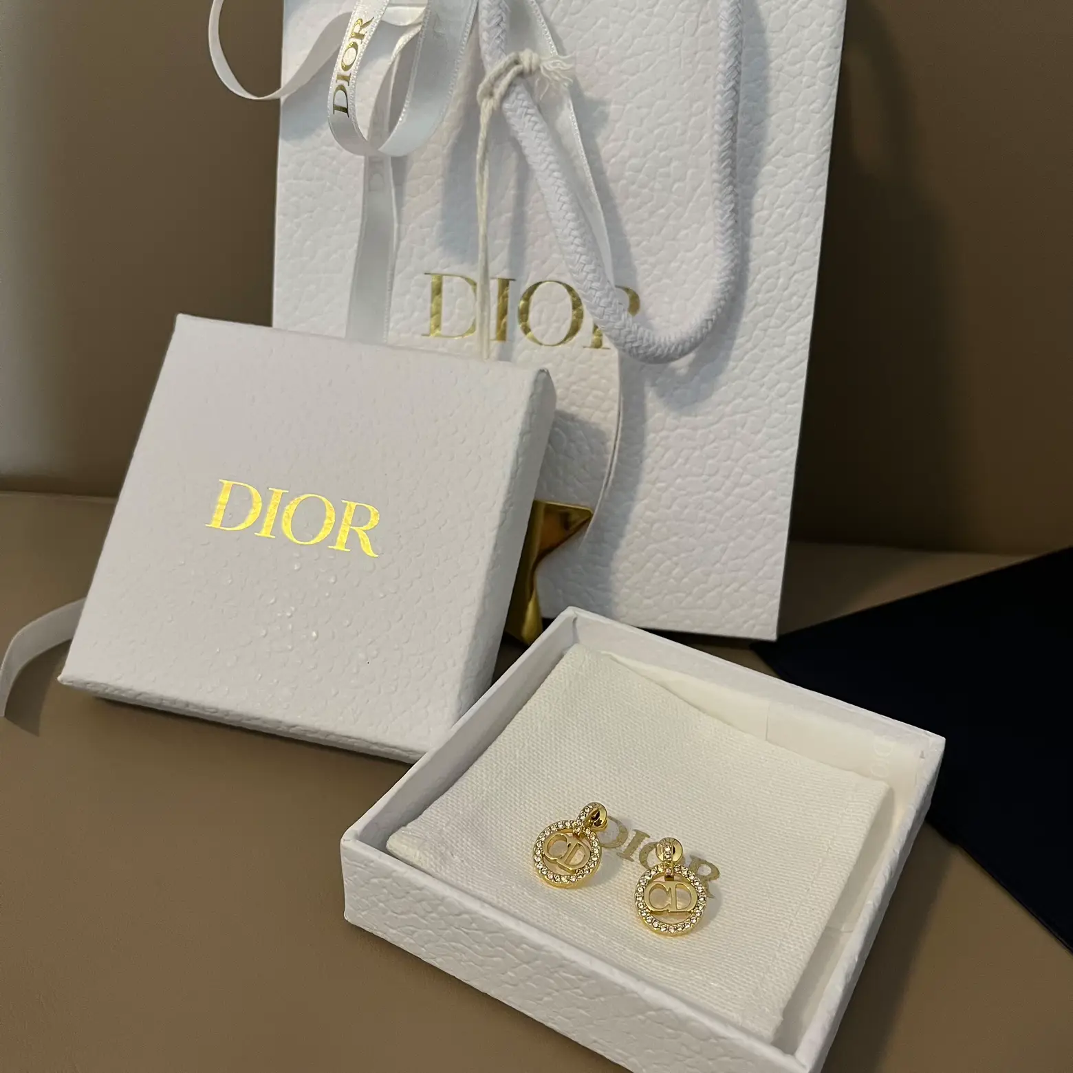 Dior CD Hoop Earrings Replica