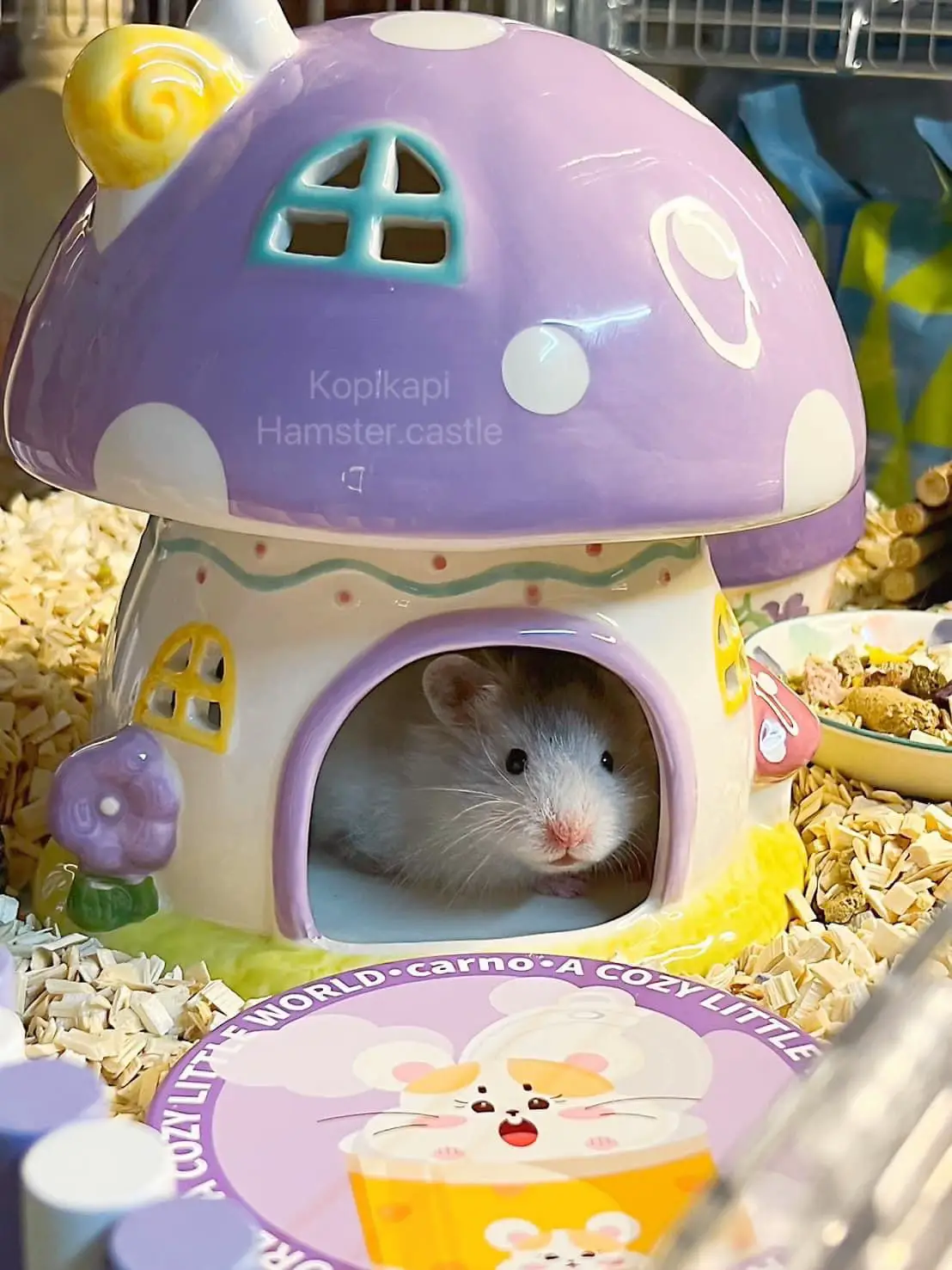 Picture Idea: แปะพ ก ดของแต งกรงแฮมสเตอร แกลเลอร ท โพสต โดย Hamster Castle