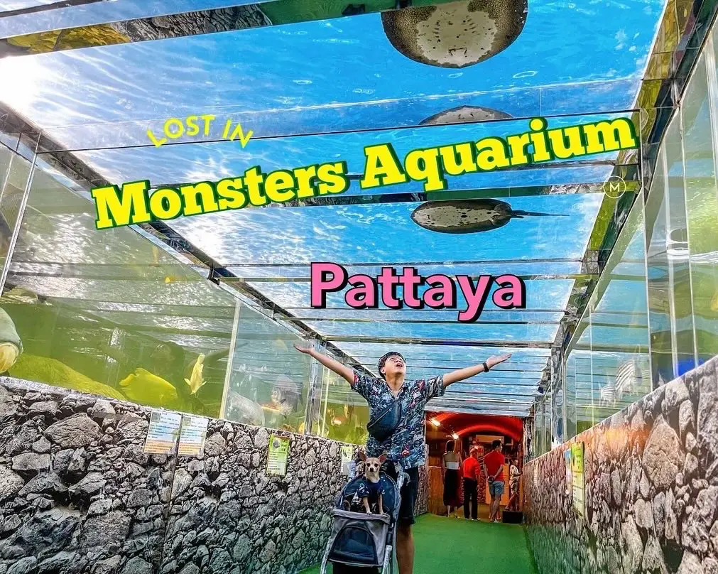 Monsters aquarium pattaya | แกลเลอรีที่โพสต์โดย หมานำโชค travel | Lemon8