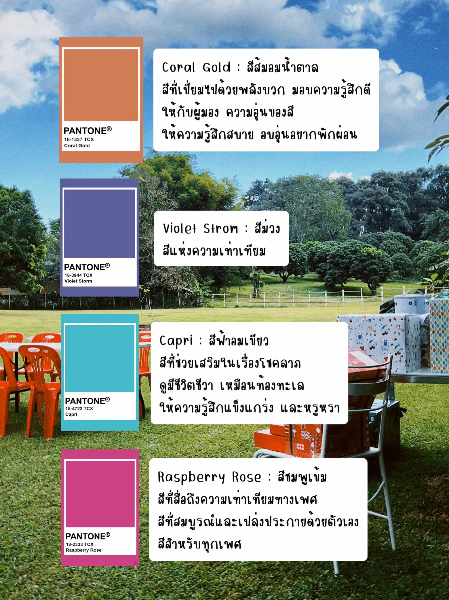 7 เทรนด์สี 2024 ~[ สีมาแรงในปีหน้า ]~ | แกลเลอรีที่โพสต์โดย Nook29nc ...