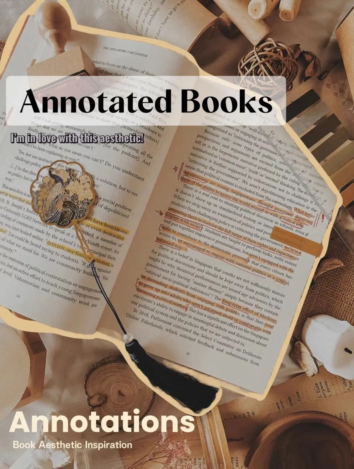 ANNOTATED BOOKS Book Tok Gifts for Book Lovers Book Gifts