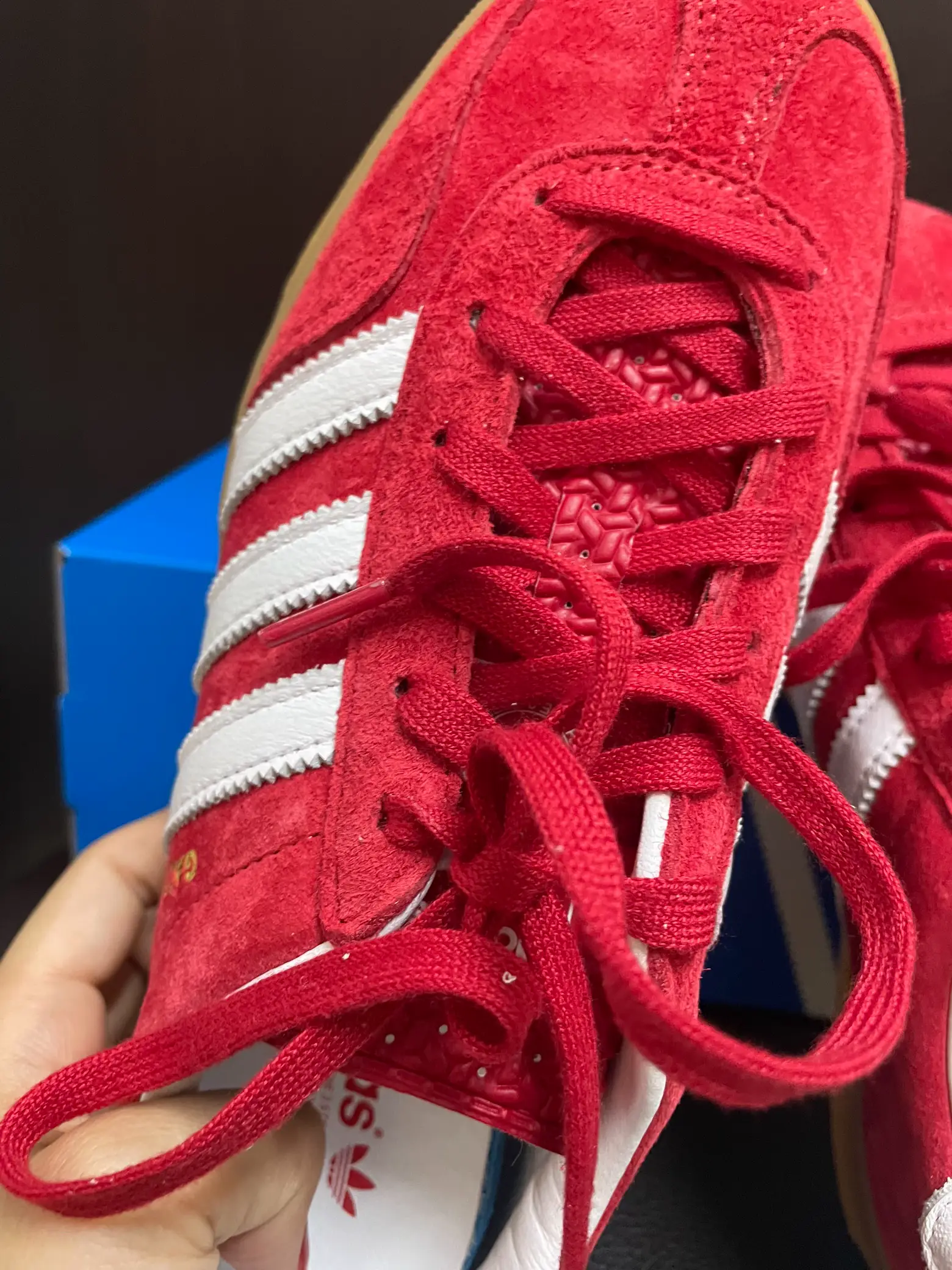 Adidas Gazelle Indoor - Scarlet / Cloud White 11