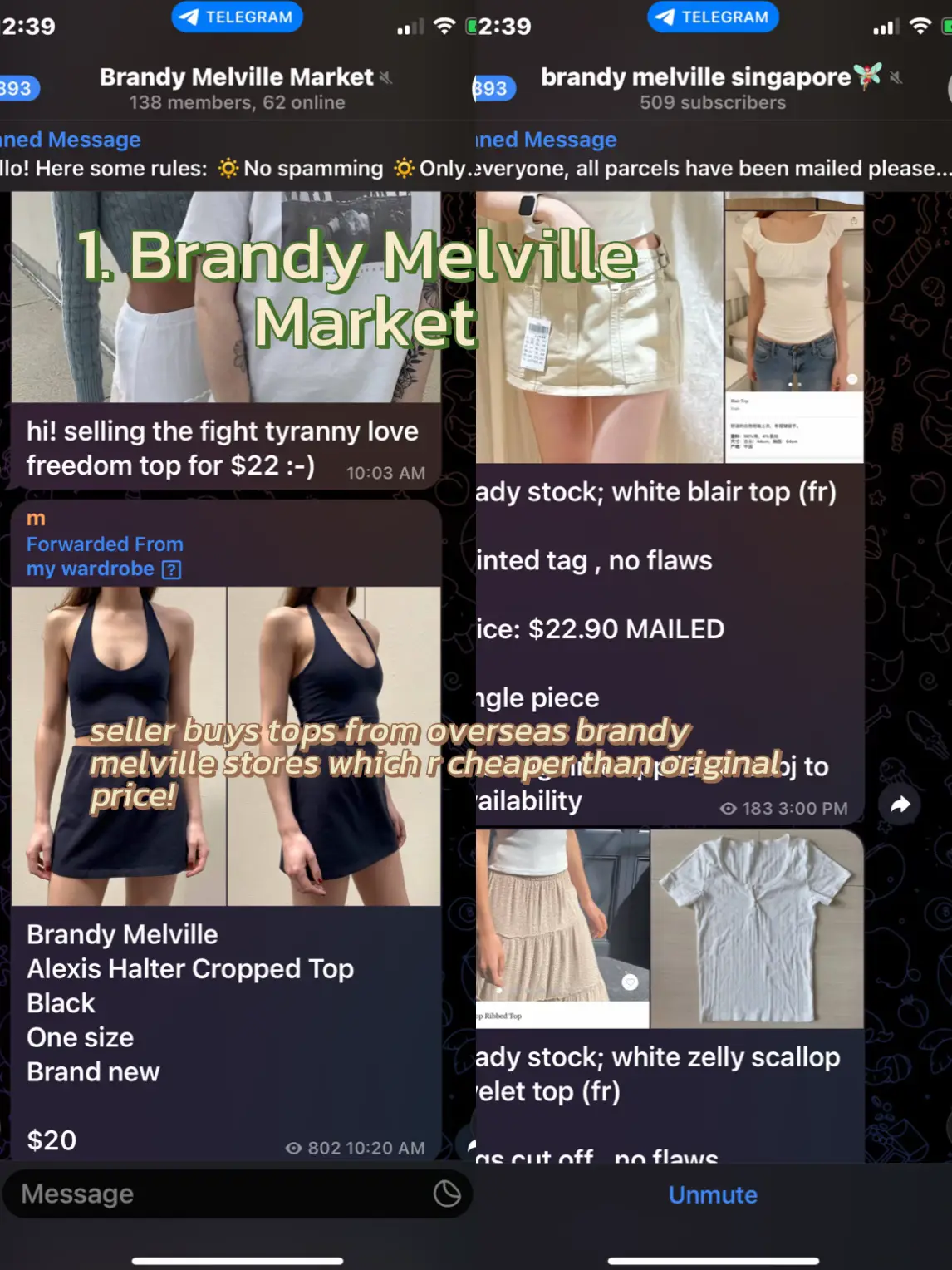 Brandy Melville Laura Halter Top Pastel Green, Women's Fashion, Tops,  Sleeveless on Carousell