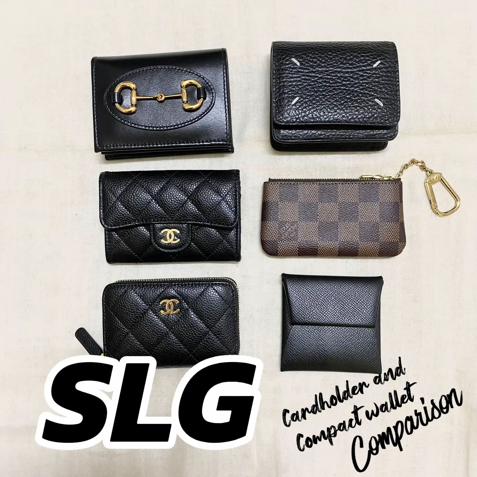 LV Nice Mini- SLG Organizer  Small Leather Goods Organizer