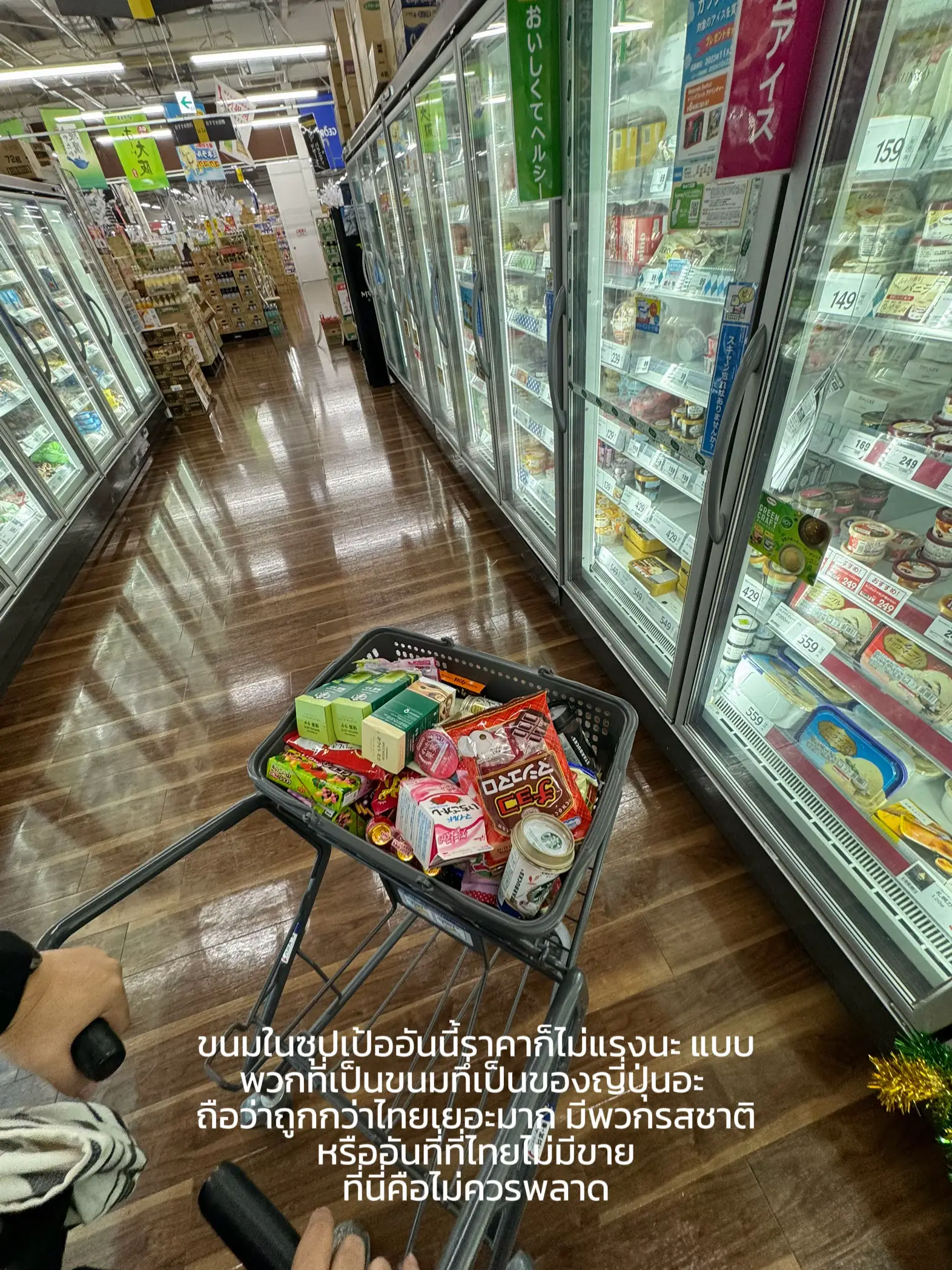 Unlocking The Latest On El Gato Night Market – The Full Guide! Exposed