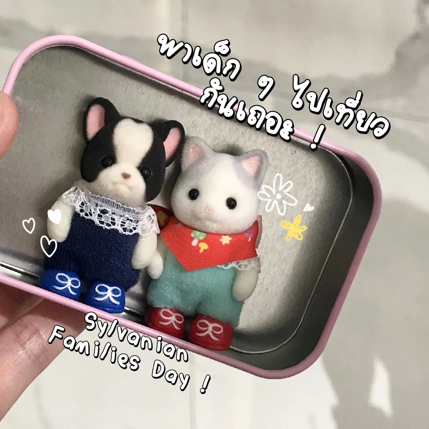 シルバニアファミリー 赤ちゃんお花畑のおともだちシリーズ 2Box 考えつき 