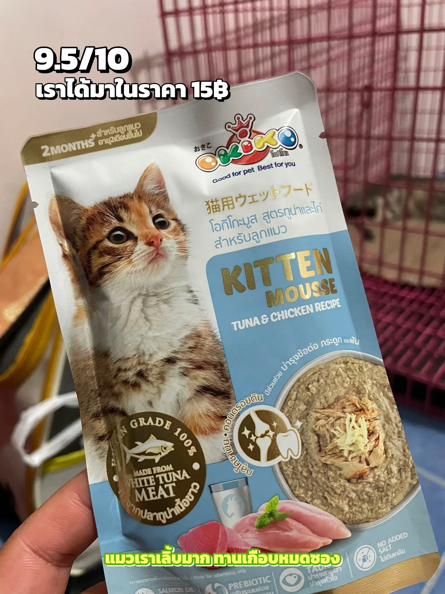 4 Brands Wet Food Review Gallery posted by onyourchada Lemon8