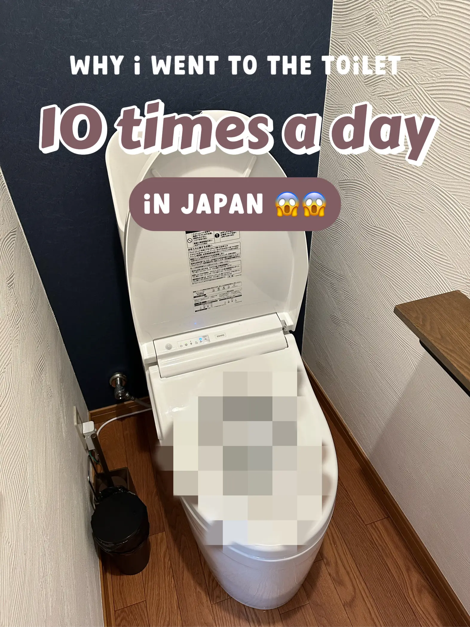 japanese toilet pooping IM CRAZILY OBSESSED WITH THE TOILETS IN JAPAN… | Gallery posted by tiffanie  | Lemon8