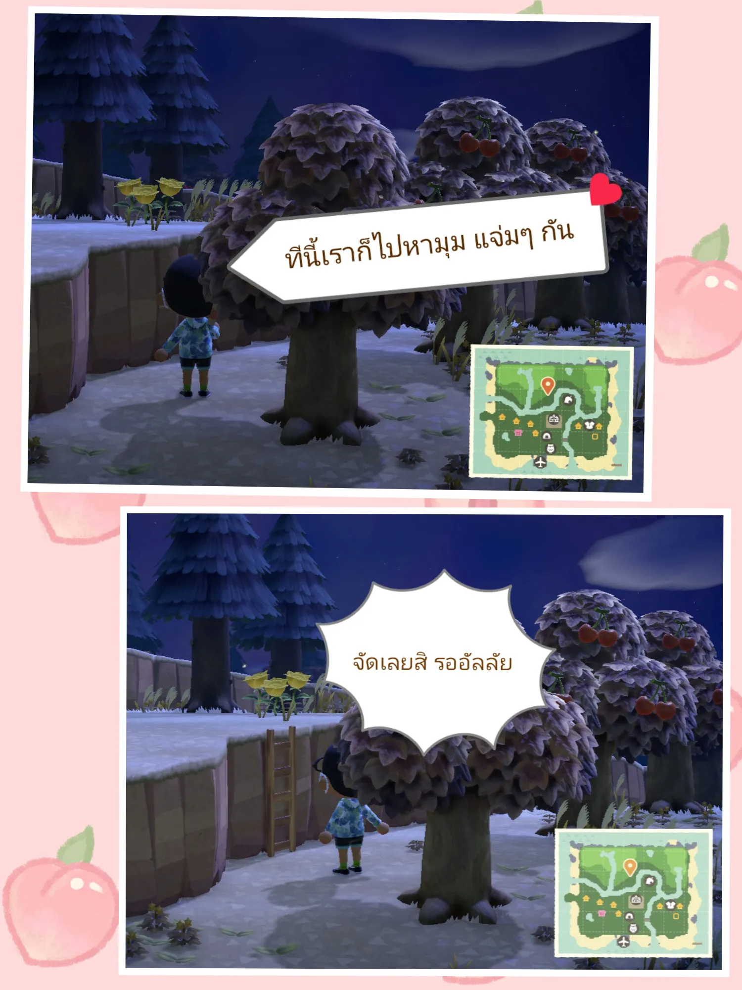 Item Wooden Ladder setup kit แกลเลอรีที่โพสต์โดย ร้านหมีหนังสือ Lemon8