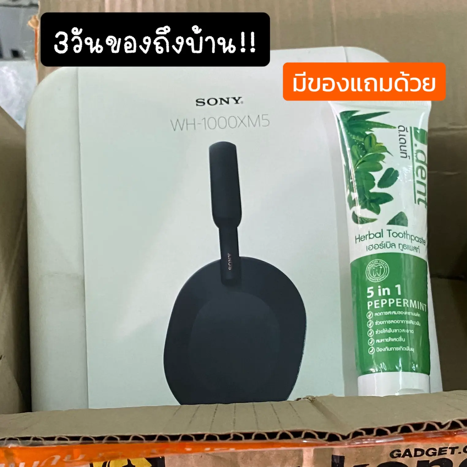 SONY WH 1000XM5 14 900 9 2XX 2023   OYL8BIfDQEeWtsl9WEXxANch2CTEtEEAFAAyIg~tplv Tej9nj120t Origin.webp