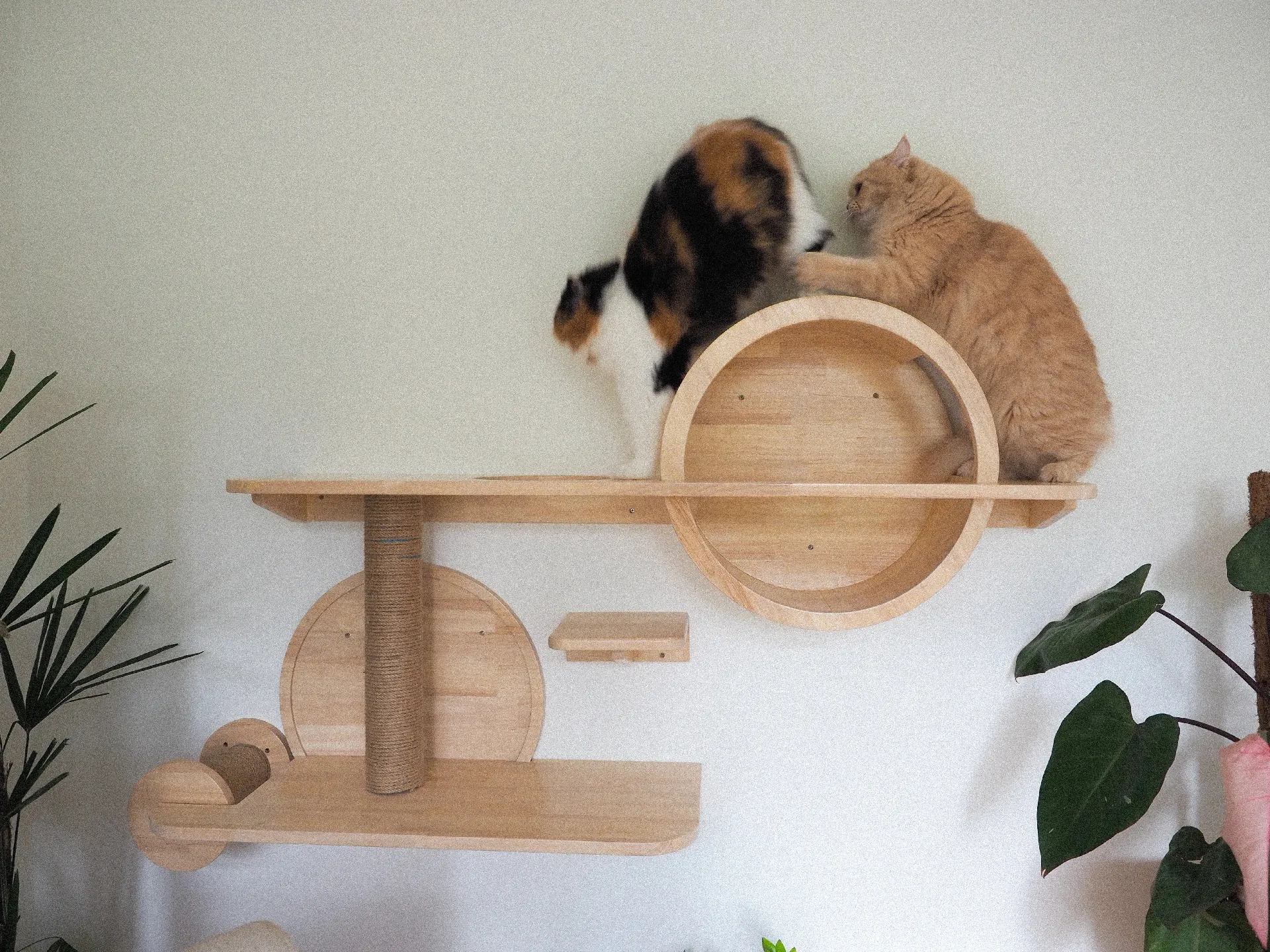 Diy top cat jungle