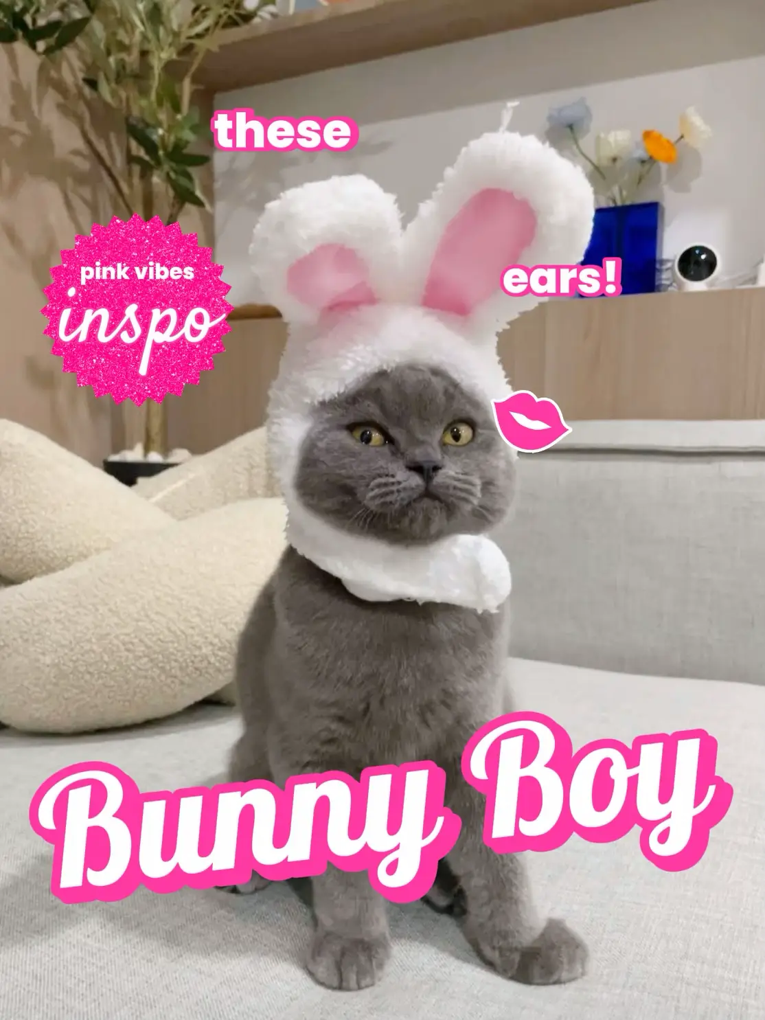 🐰นี่มันบักส์บันนี่!!🥕 nokkuが投稿したフォトブック Lemon8