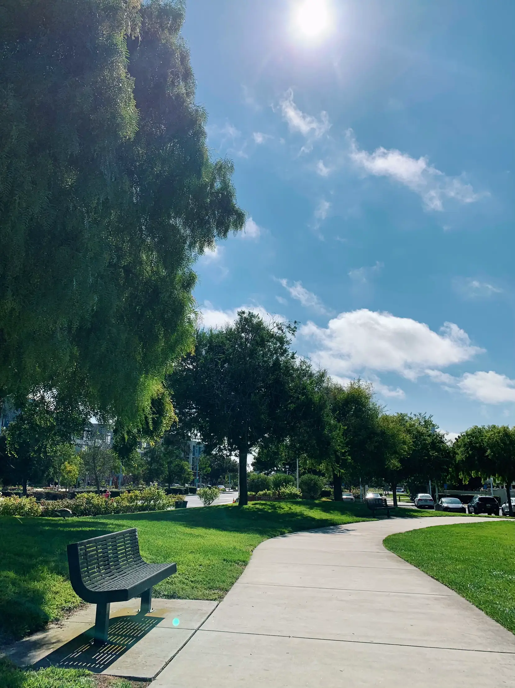 สวนสาธารณะที่ Foster City, California 🇺🇸 🪻 แกลเลอรีที่โพสต์โดย