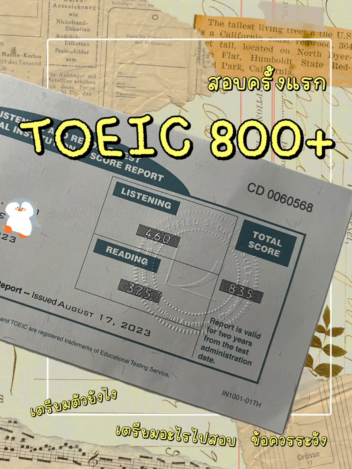 800 TOEIC: Bí quyết và lộ trình để đạt điểm cao trong kỳ thi TOEIC