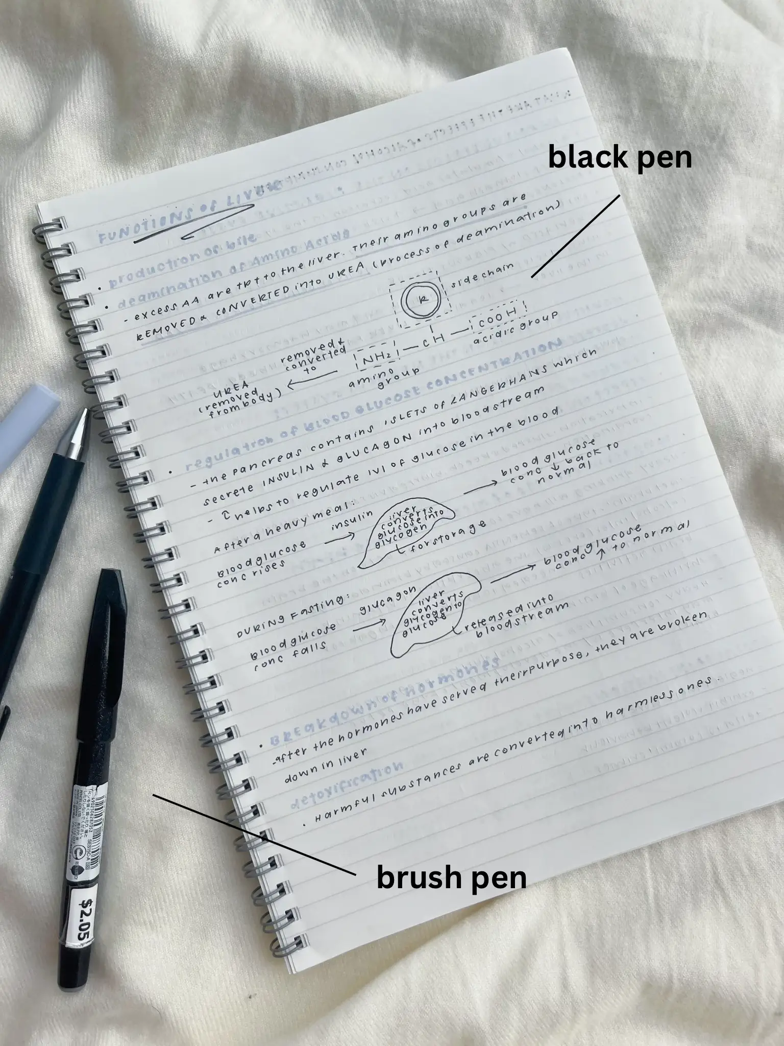my FAV notetaking supplies!, Gallery posted by grace:)