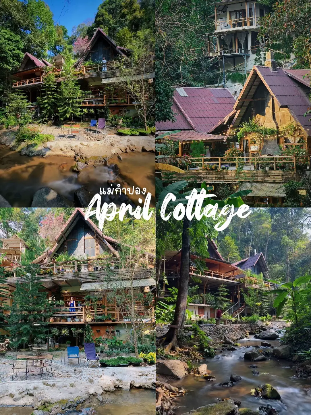 April Cottage แม่กำปอง | แกลเลอรีที่โพสต์โดย เด็กขี้เบื่อ | Lemon8