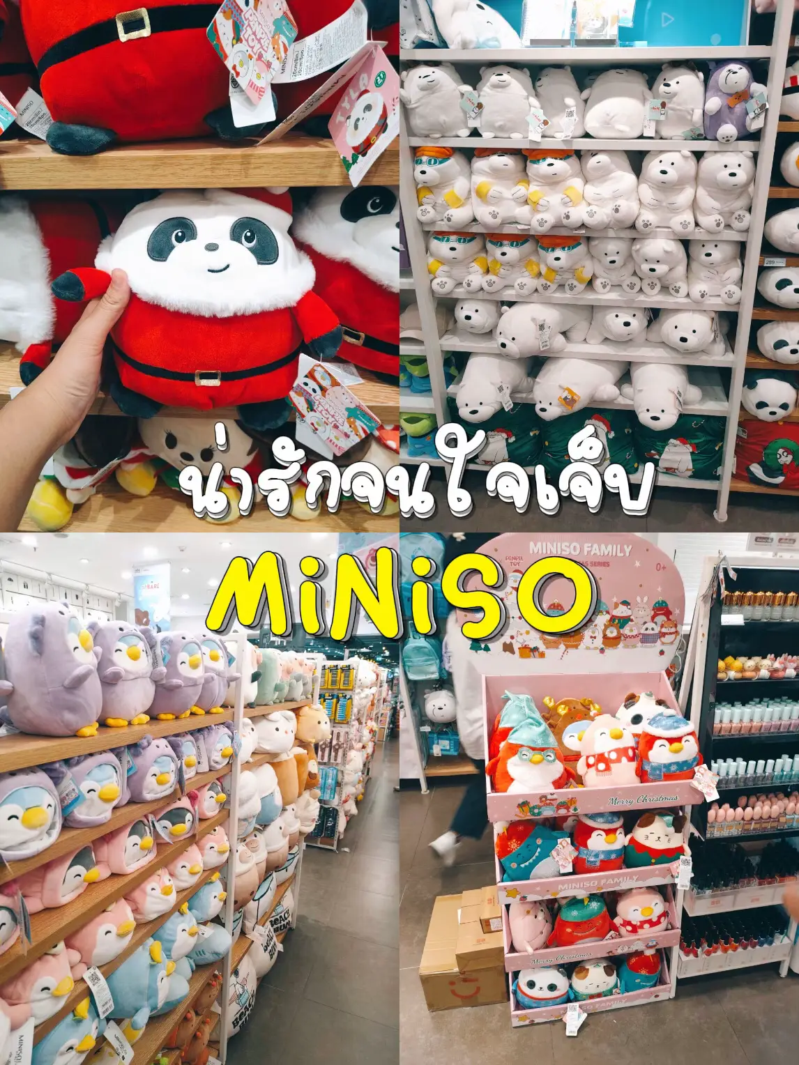 Went to my first Miniso / Sanrio store awhile ago and started