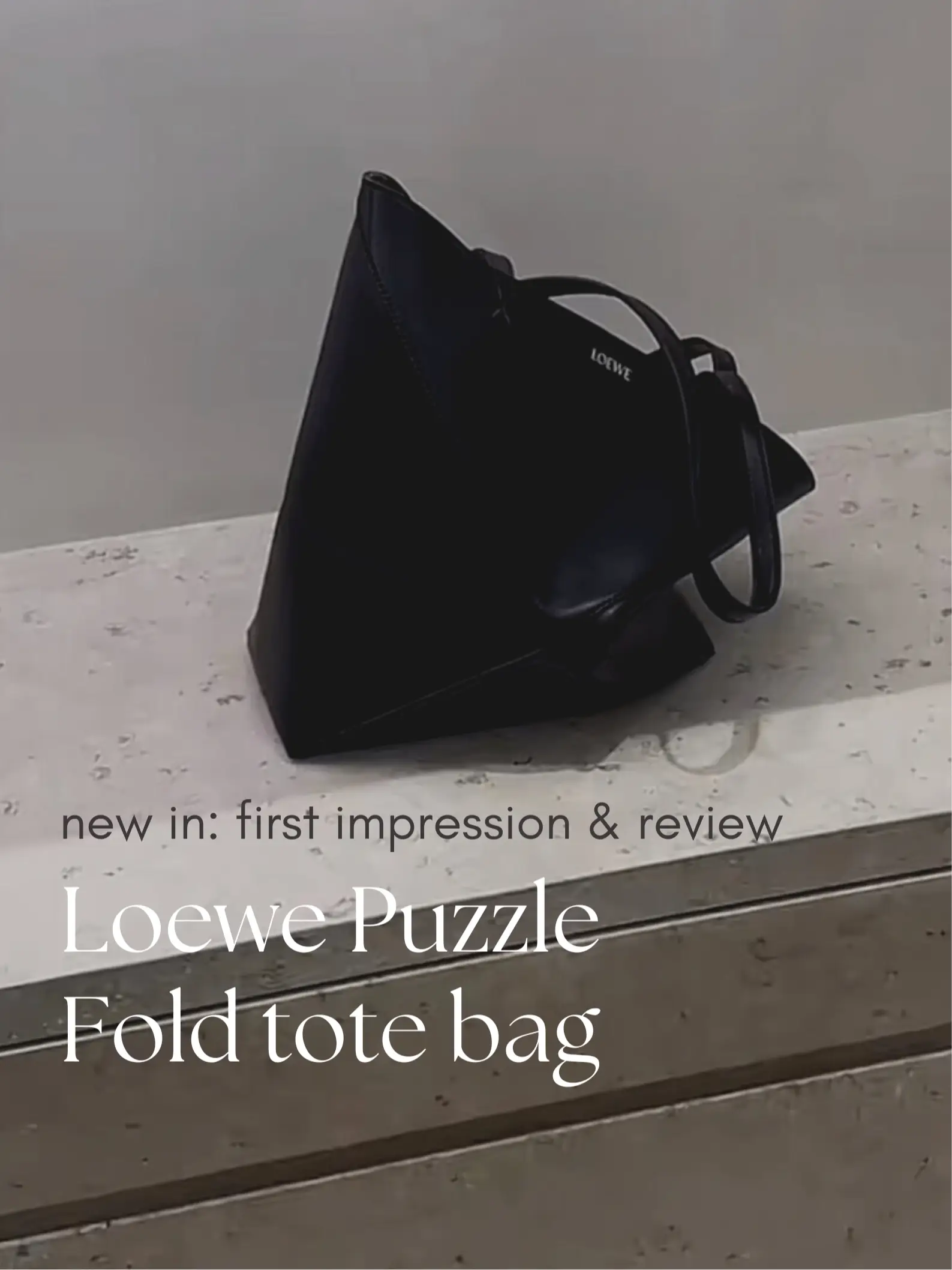 Why The Loewe Puzzle Fold Tote is the Bag of the Summer - Coveteur