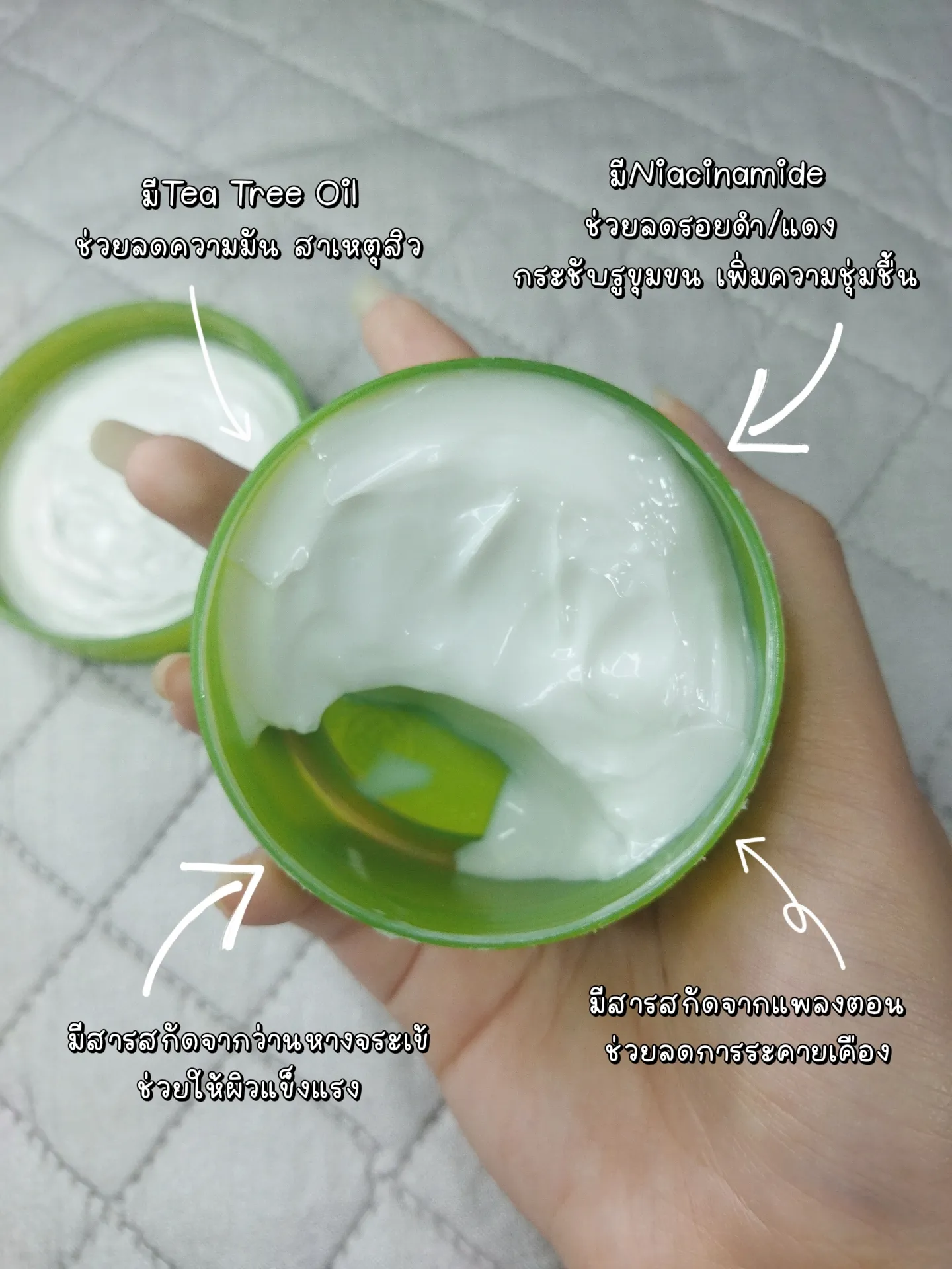 รีวิวครีมLalio Tea Treeตัวดัง🌱 | แกลเลอรีที่โพสต์โดย Mi_mamamia | Lemon8