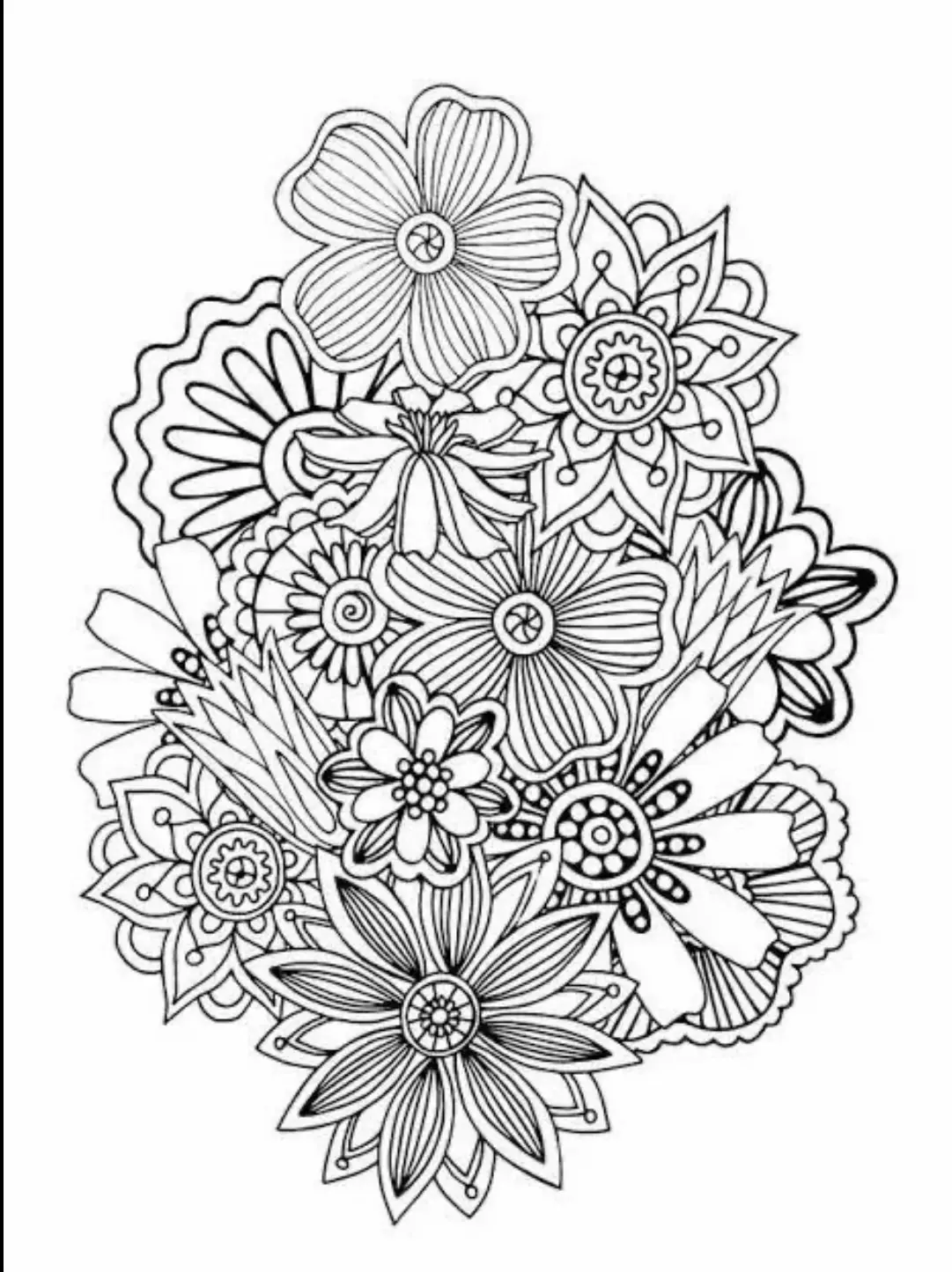 Flowers Coloring Book for Women, Relaxing and Stress Relief Coloring Pages  for Adults, Beautiful Botanical Illustrations. PDF, PNG for iPad 